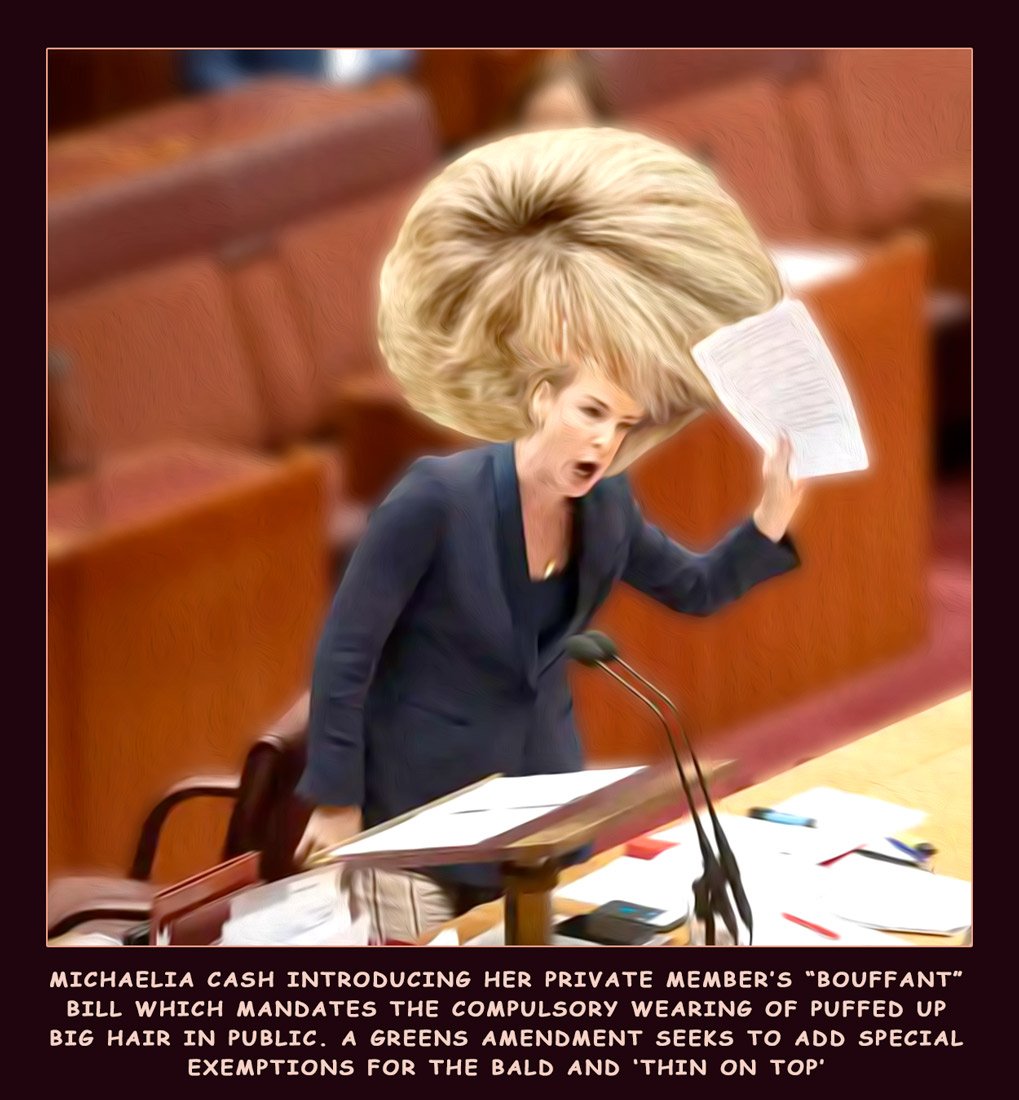 Big Hair — Polliedom cartoon by Peter Gillies