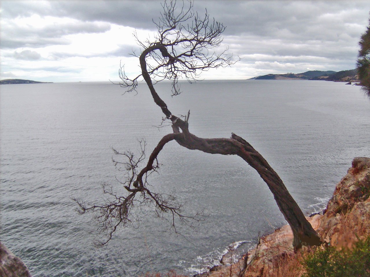 Blackmans Bay III — Photography by Peter Gillies