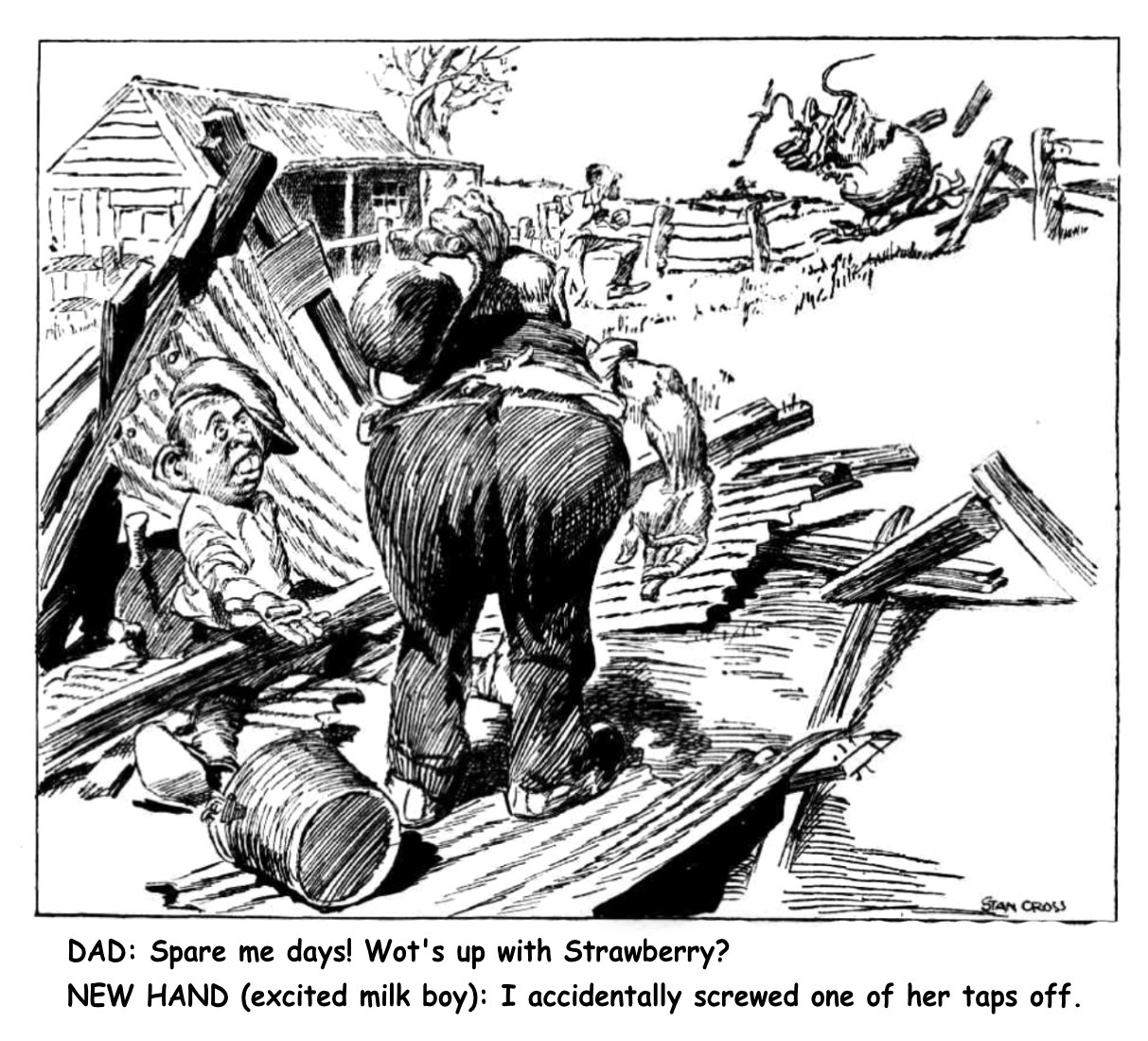 Stan Cross Strawberry — Pro cartoon by Peter Gillies
