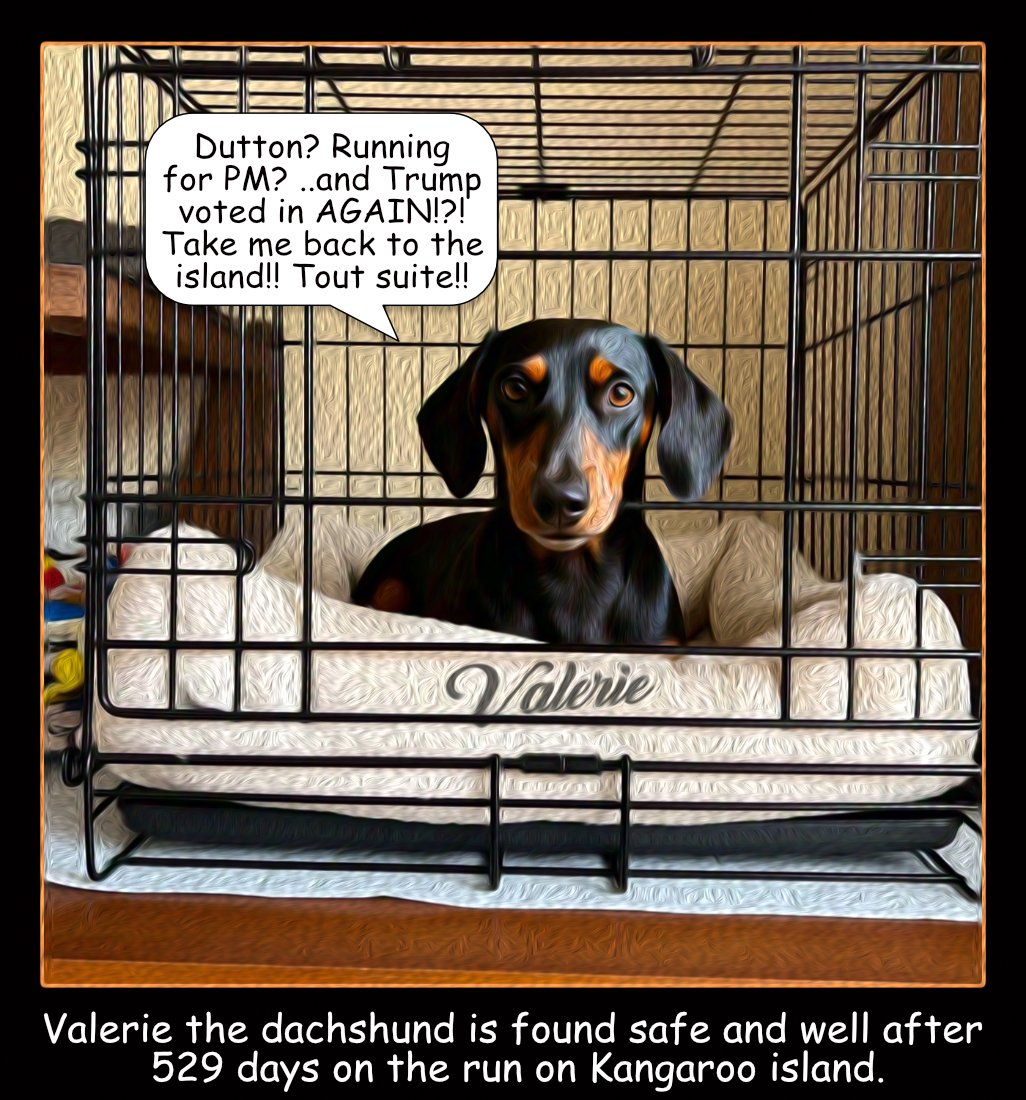 Valerie — Polliedom cartoon by Peter Gillies