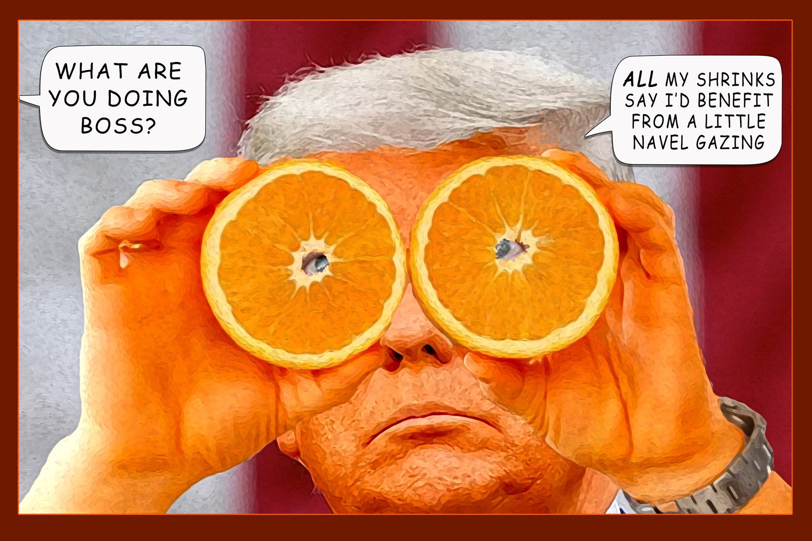 Navel Gazing — Polliedom cartoon by Peter Gillies