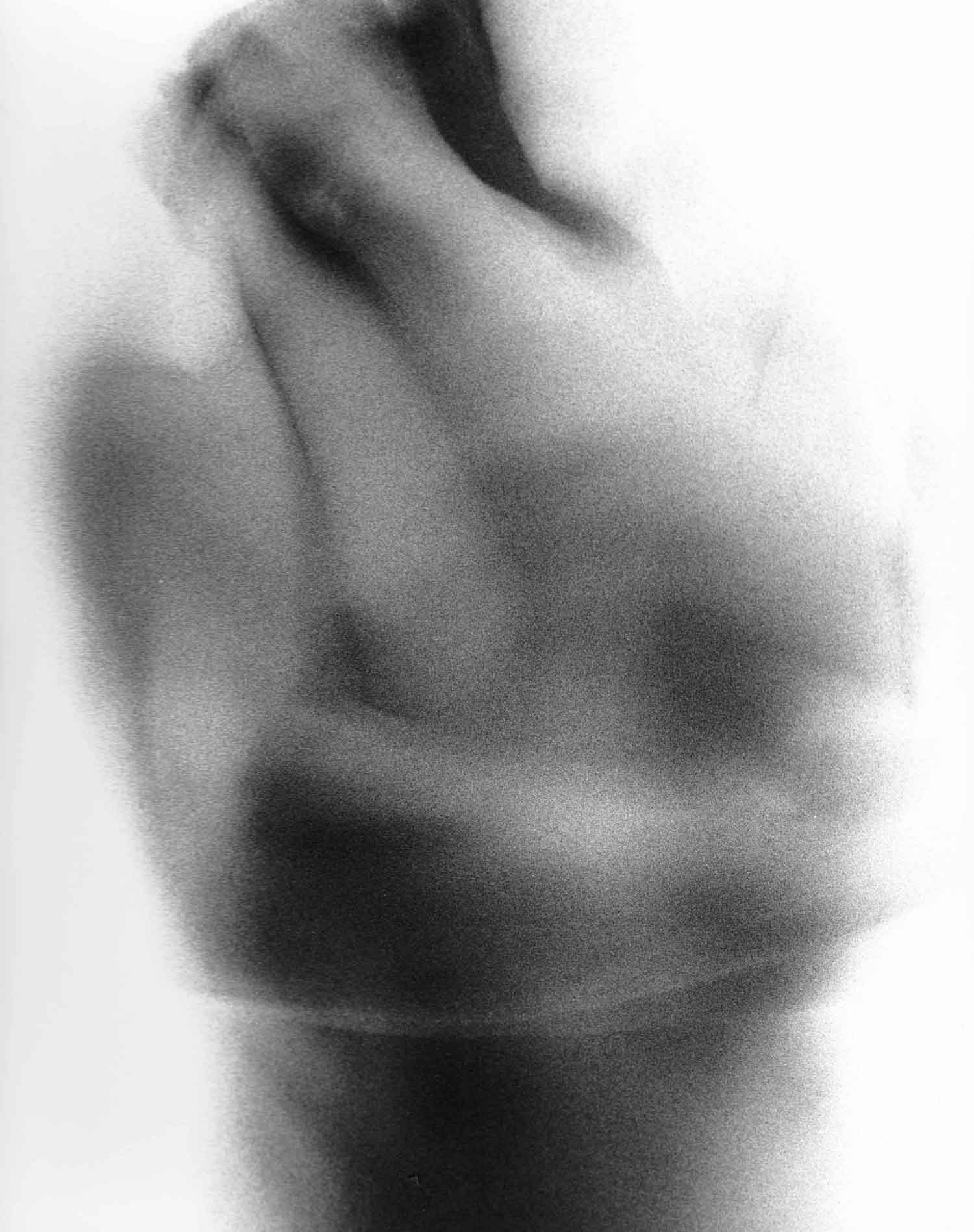 Untitled I — Photography by Peter Gillies
