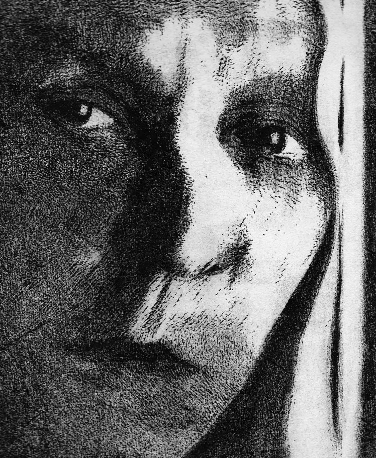 Face II — Prints by Peter Gillies