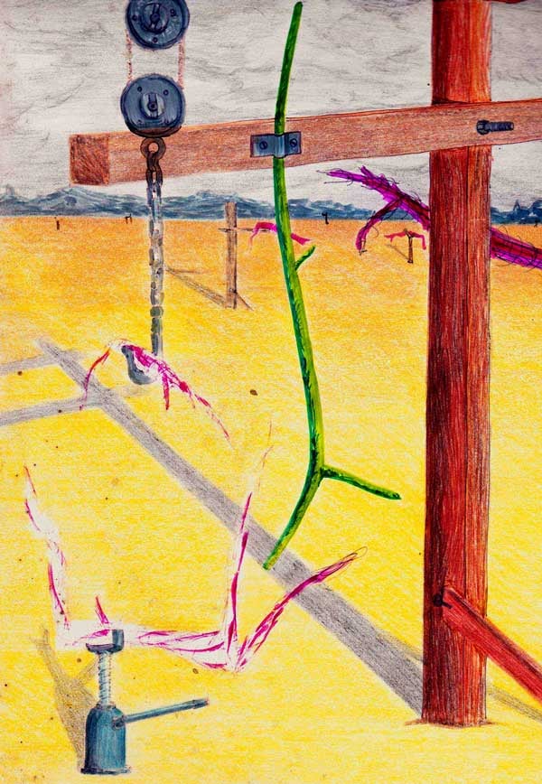 Daliance II — Drawings by Peter Gillies