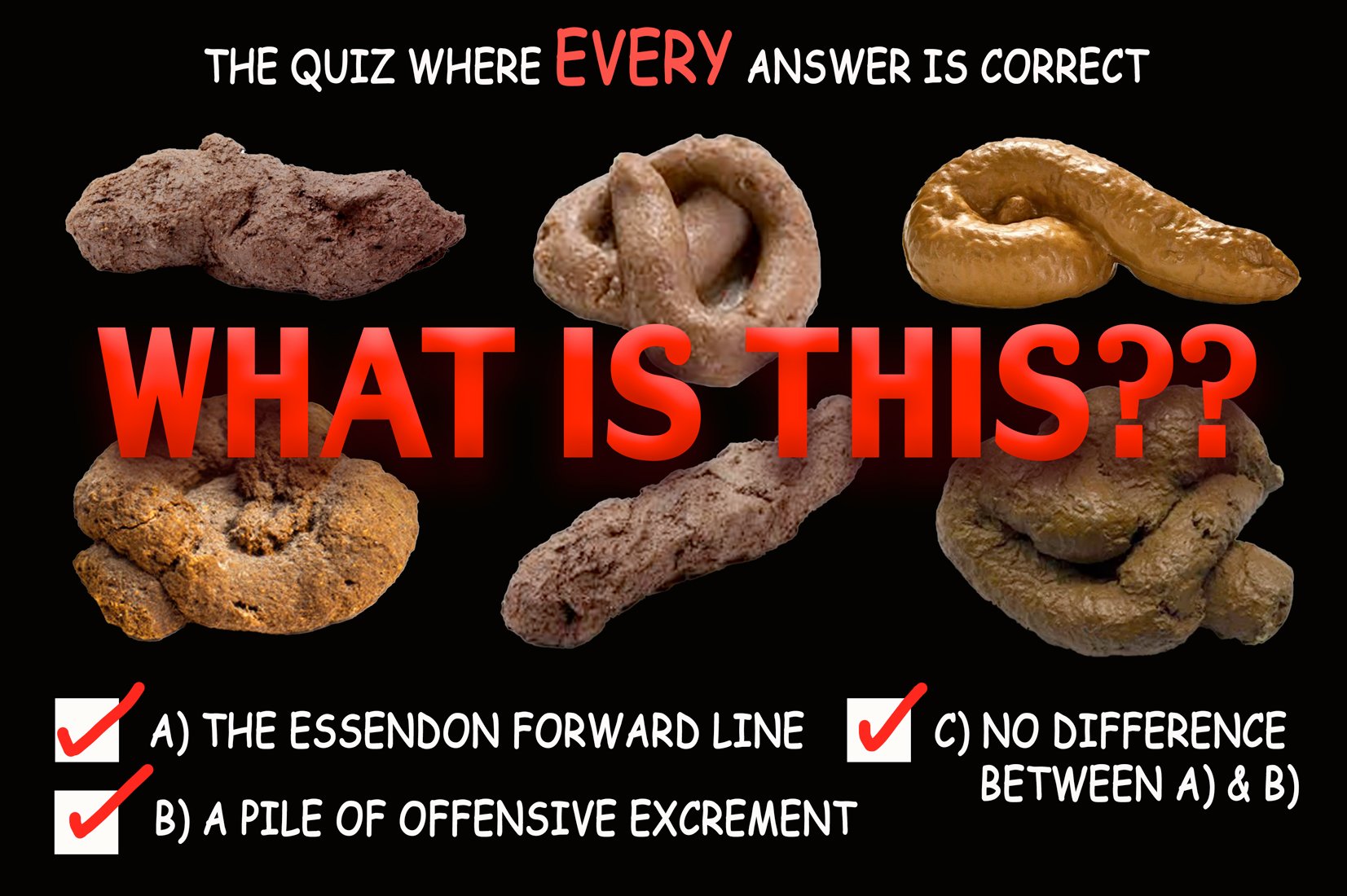 Excrement — Footy cartoon by Peter Gillies