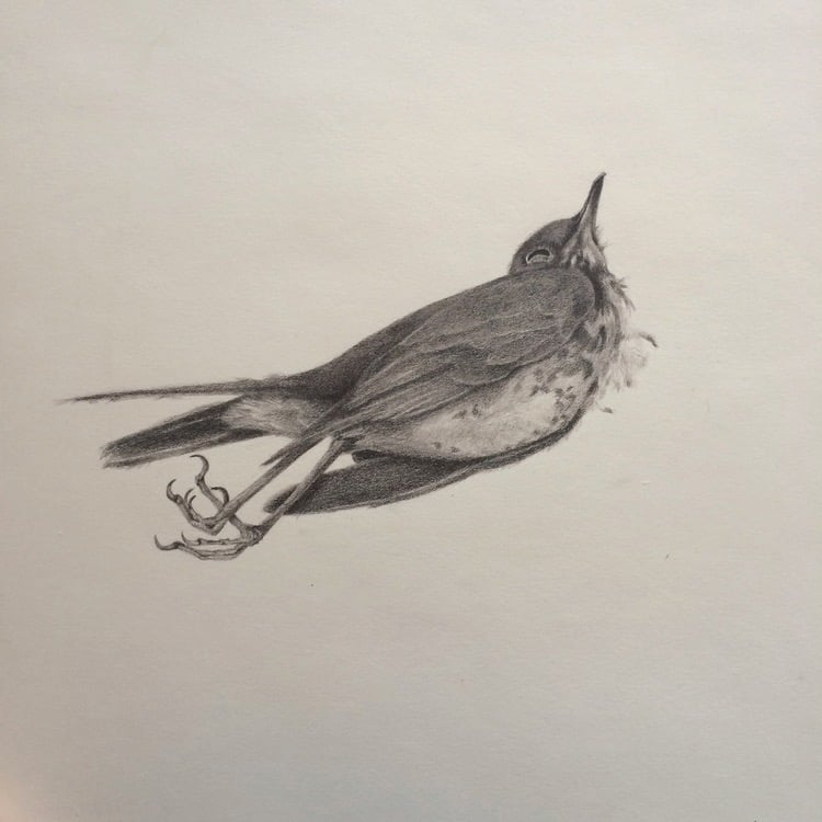 Painting by Alex Bauwens