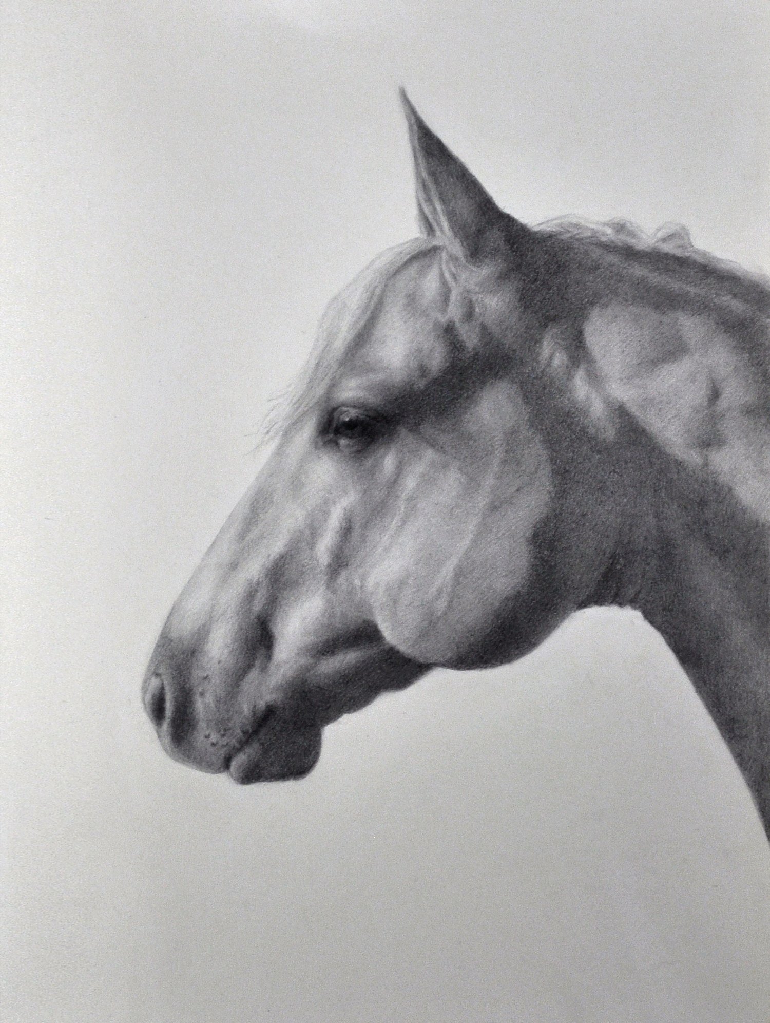 Painting by Alex Bauwens