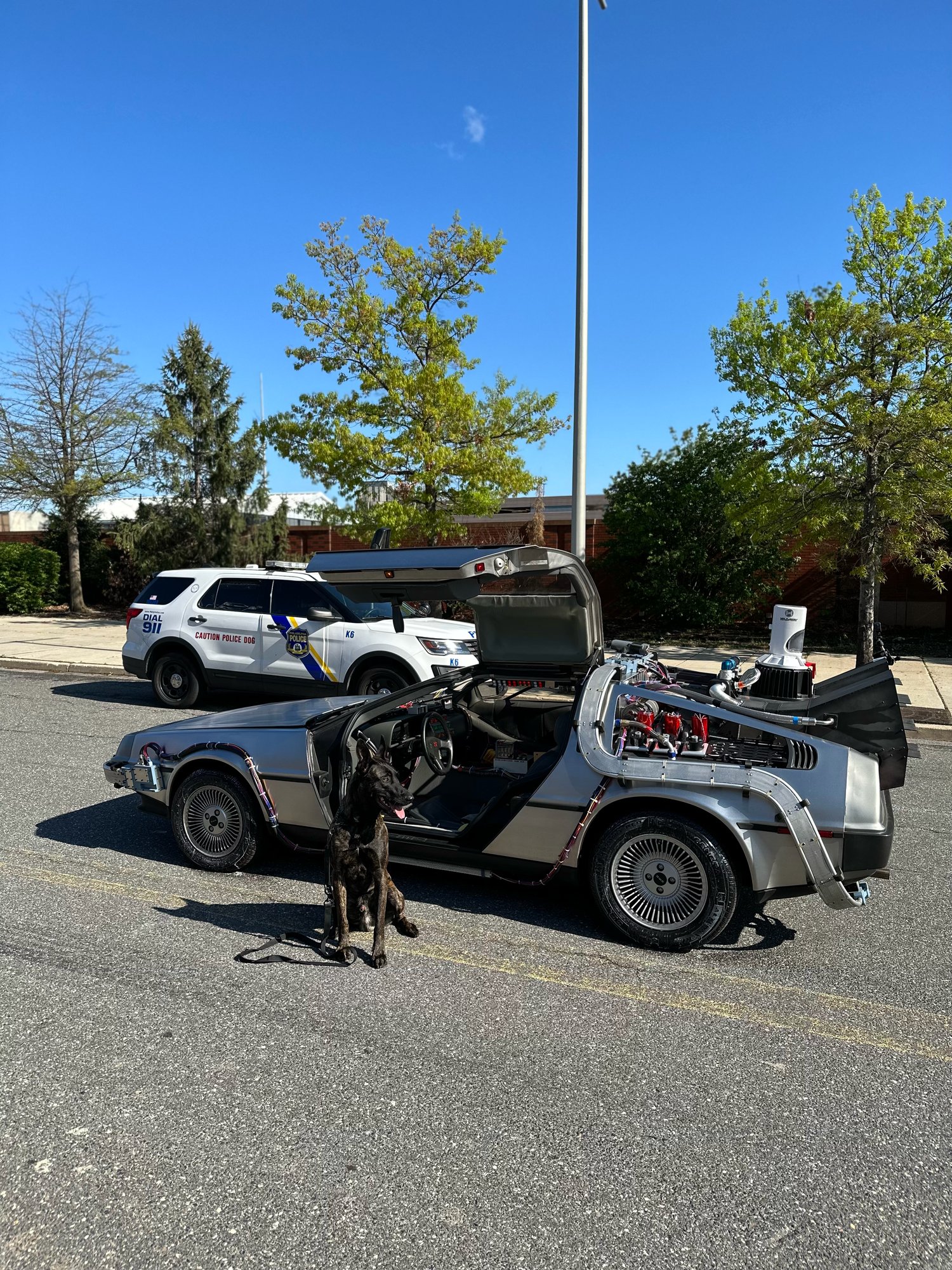 DeLorean Time Machine