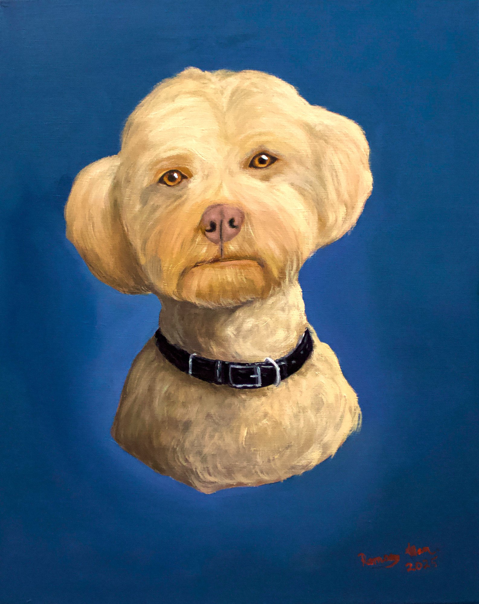 Nico — commissioned oil portrait of a pale-coated dog against a deep blue ground, by Ramsay Allan