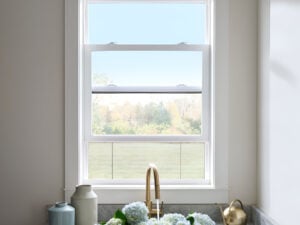 Single Hung vinyl window