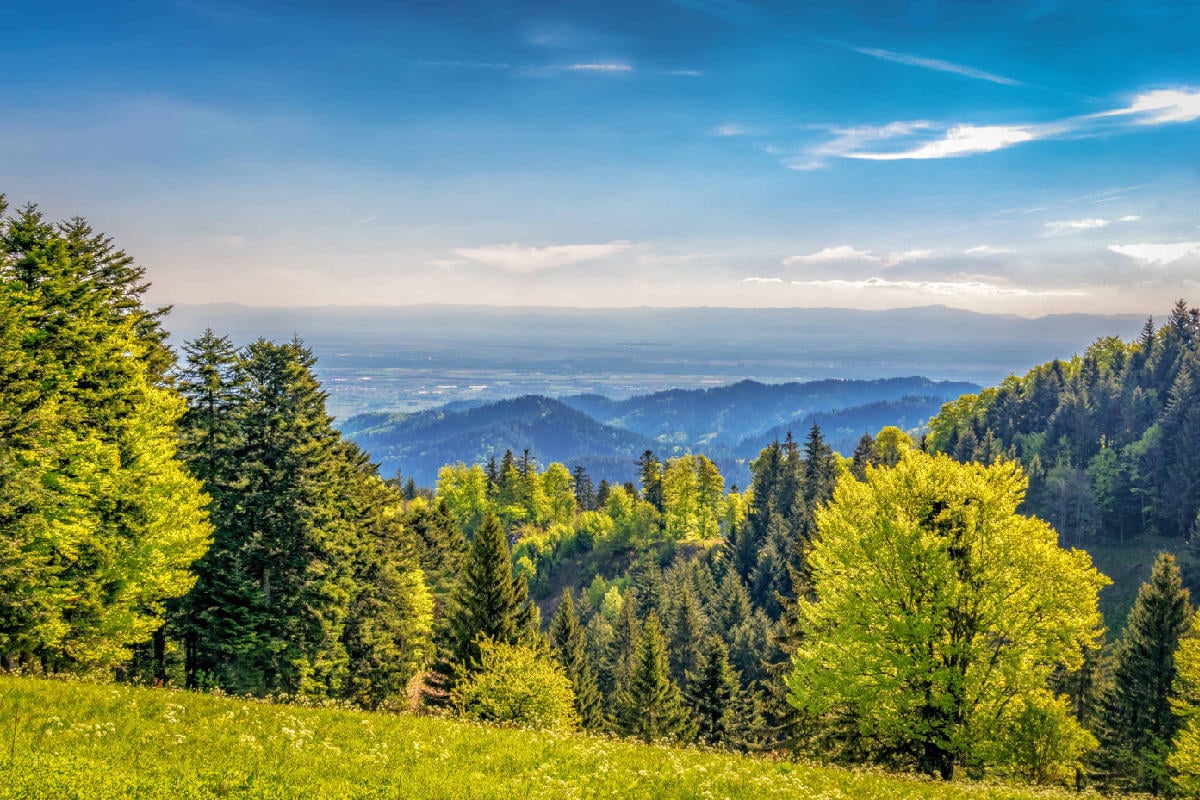 Penzion U Fořta - pohled na penzion