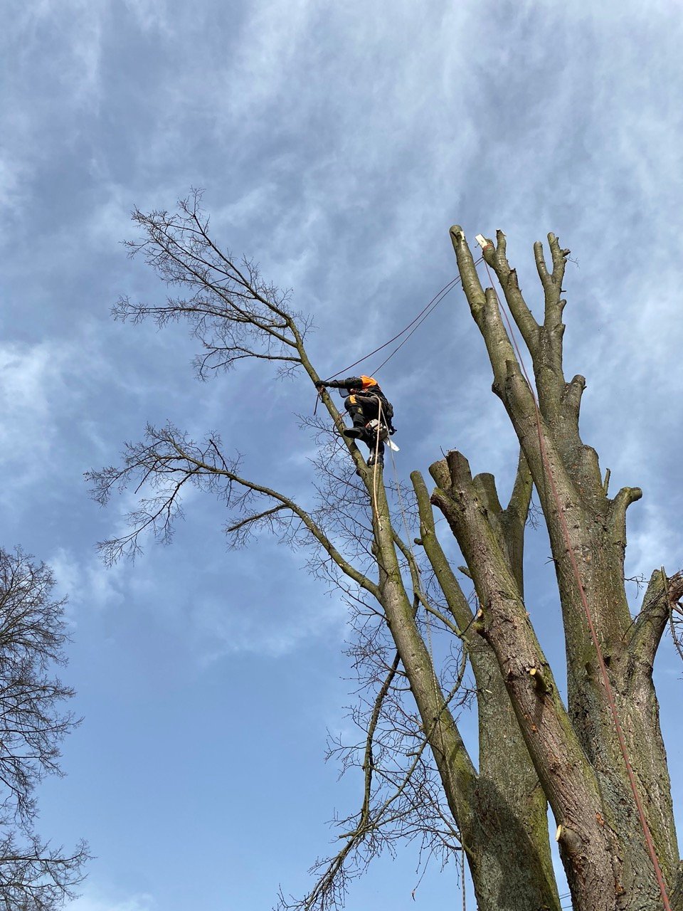 Realizace ProfiVertical 21