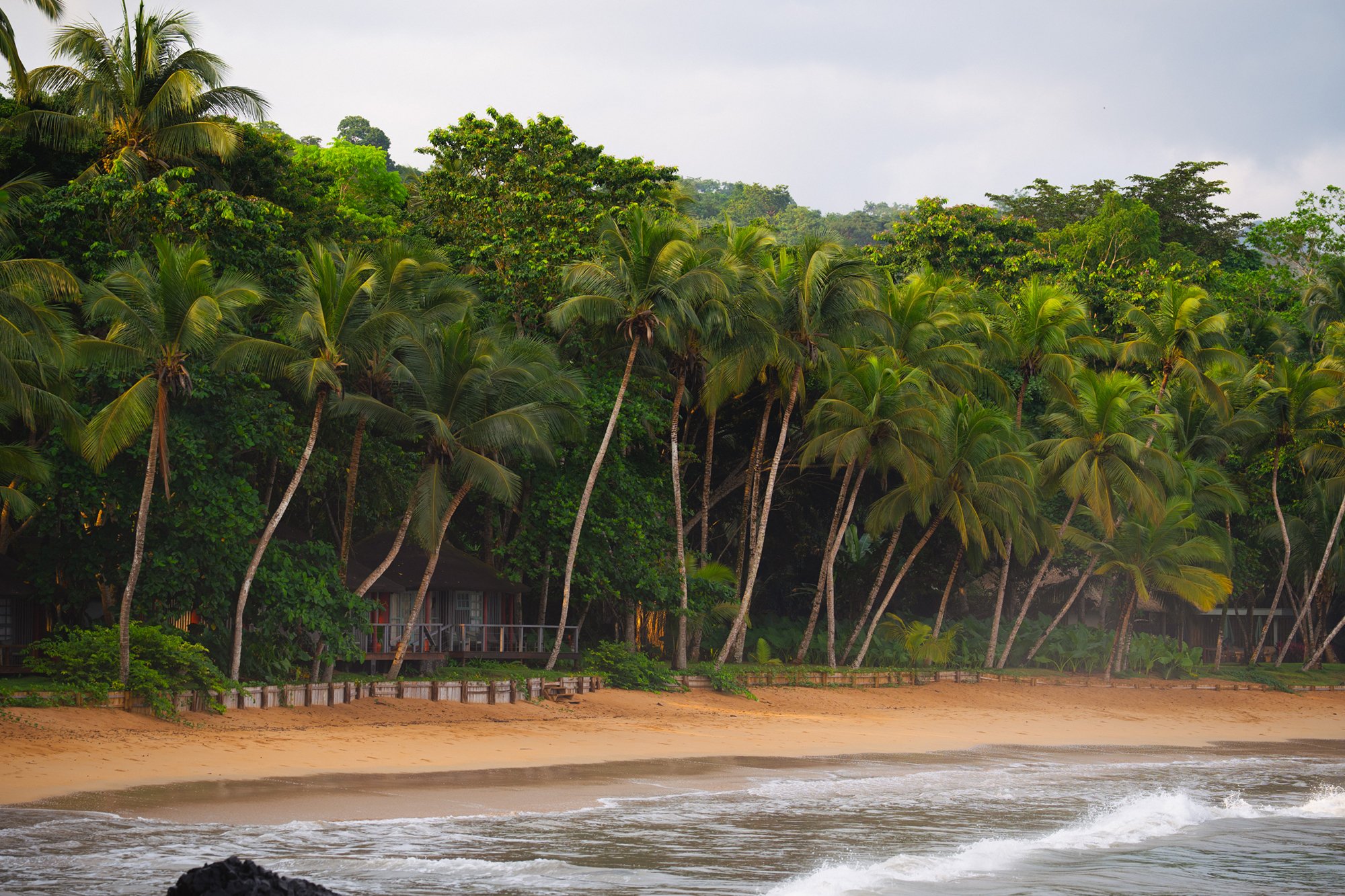 Aerial view of the Bom Bom peninsula with palms, bungalows and two sandy beaches on northern Príncipe