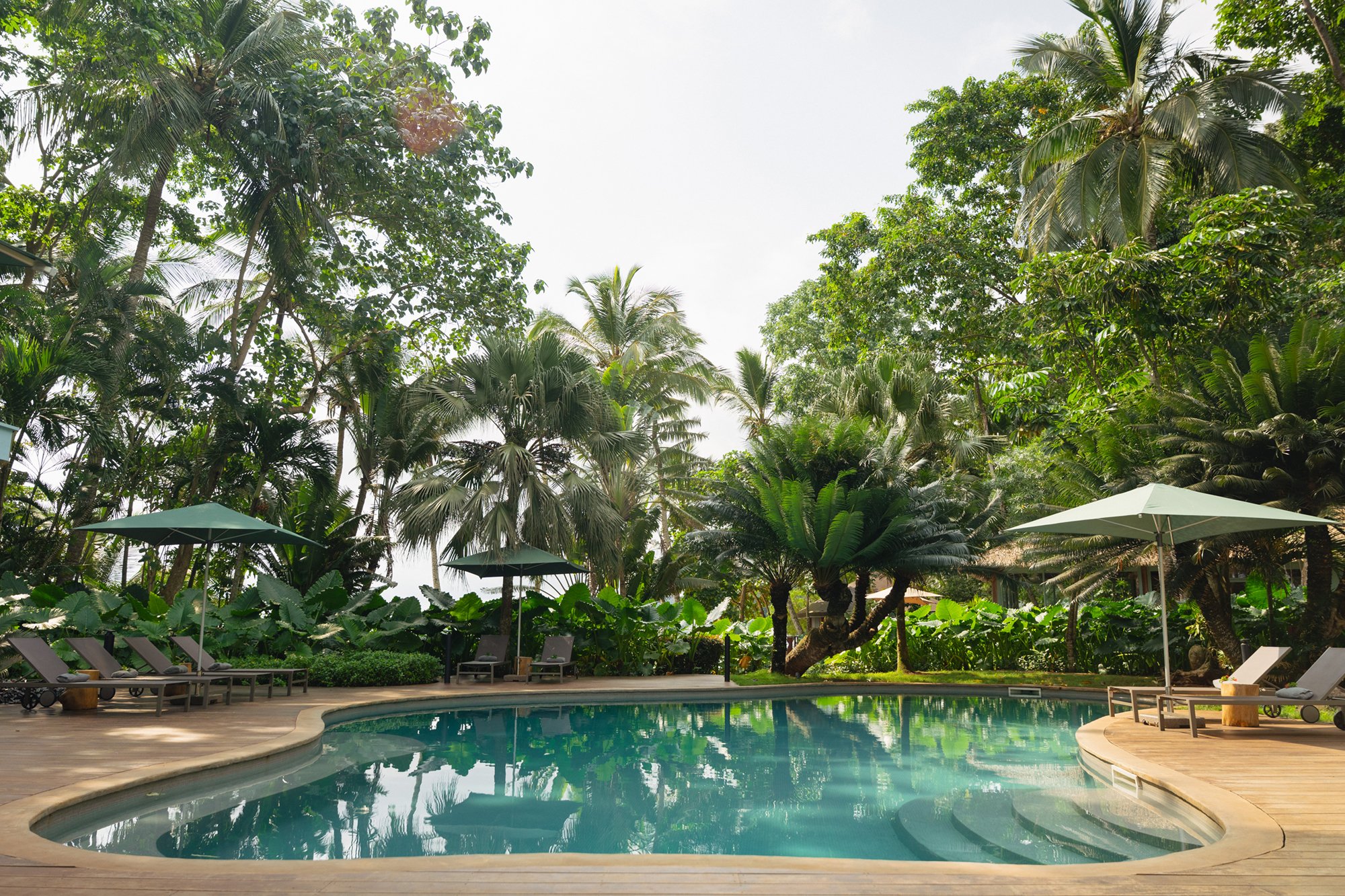 Outdoor swimming pool surrounded by tropical vegetation at Bom Bom