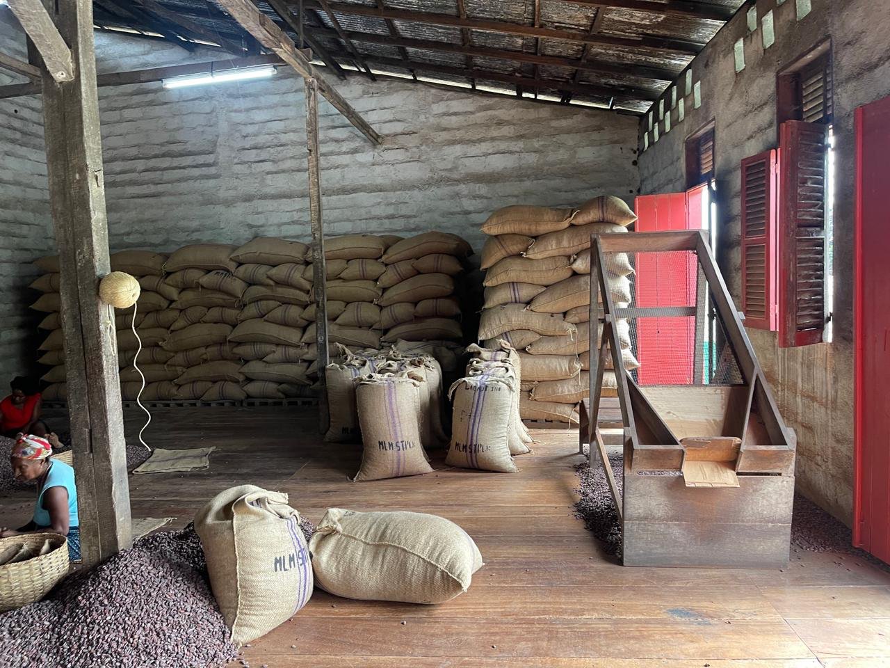 Trabalhadores a selecionar grãos de cacau dentro de um armazém numa plantation de São Tomé