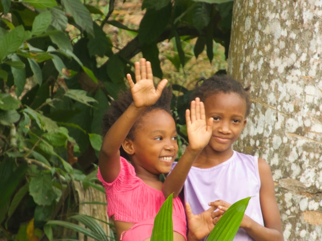 Lush landscape of São Tomé seen from the island's interior