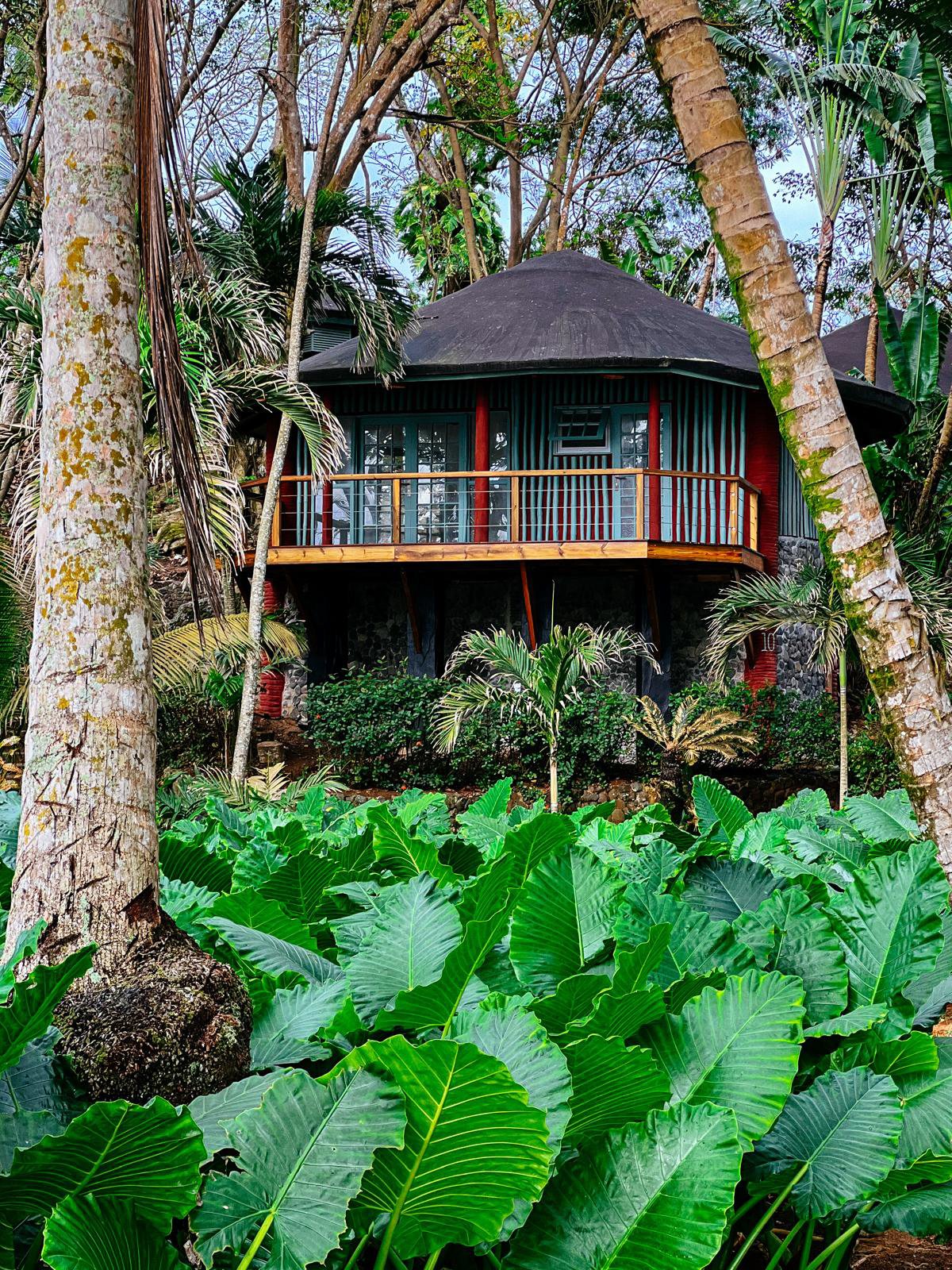 Garden View Bungalow exterior among palms and tropical vegetation at Bom Bom on Príncipe