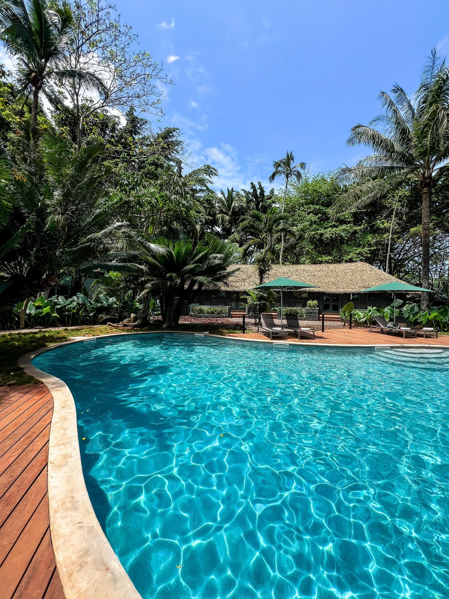 Pool View Bungalow beside the swimming pool in the tropical gardens at Bom Bom