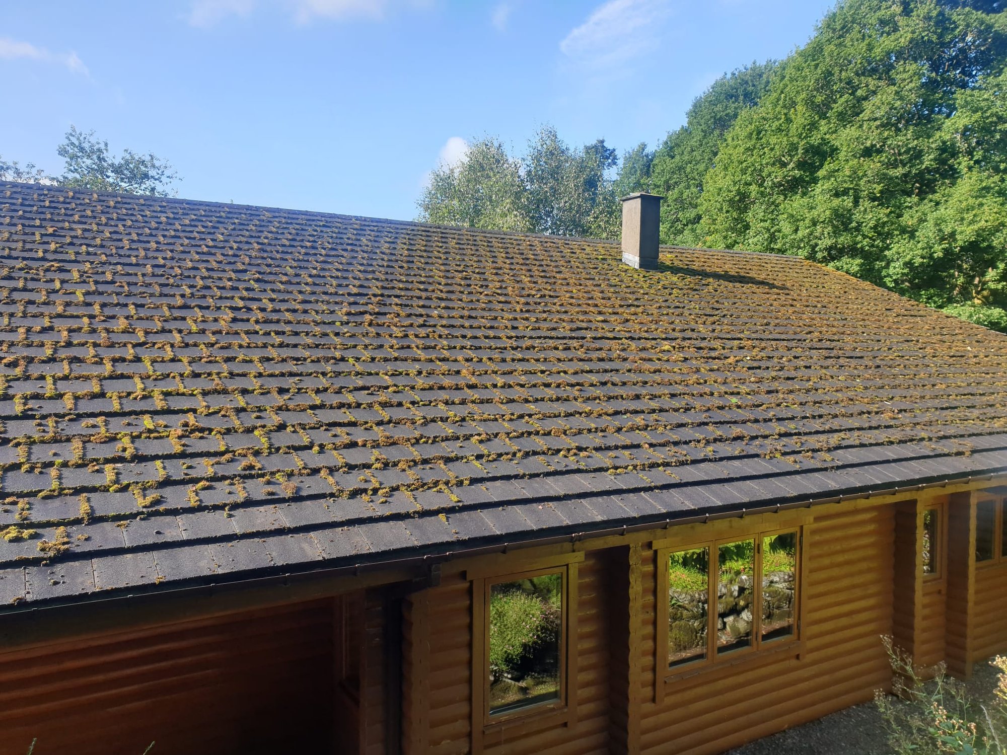 Before — Holiday Lodge Roof Cleaning — Perthshire
