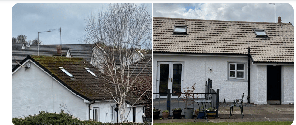 Semi-Detached — Roof Clean & Biocide — Dalguise Coatings