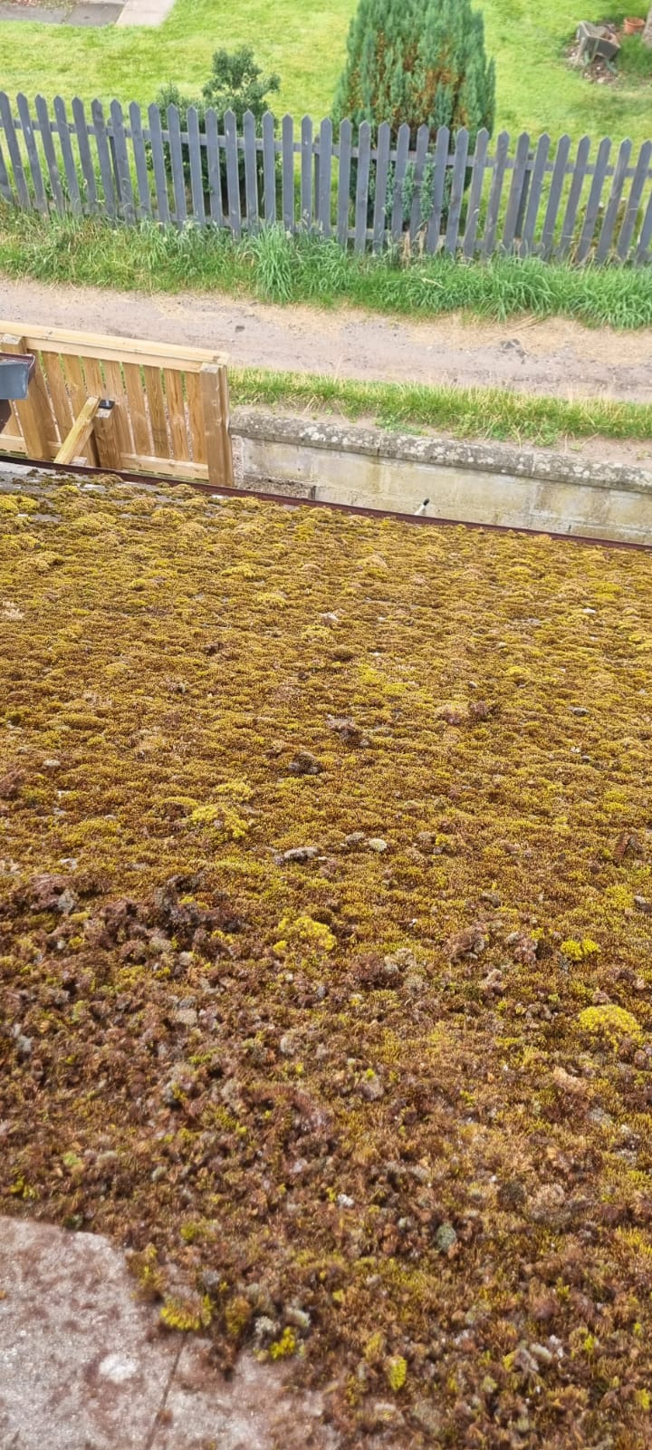 Before — Detached House — Roof Cleaning Perth