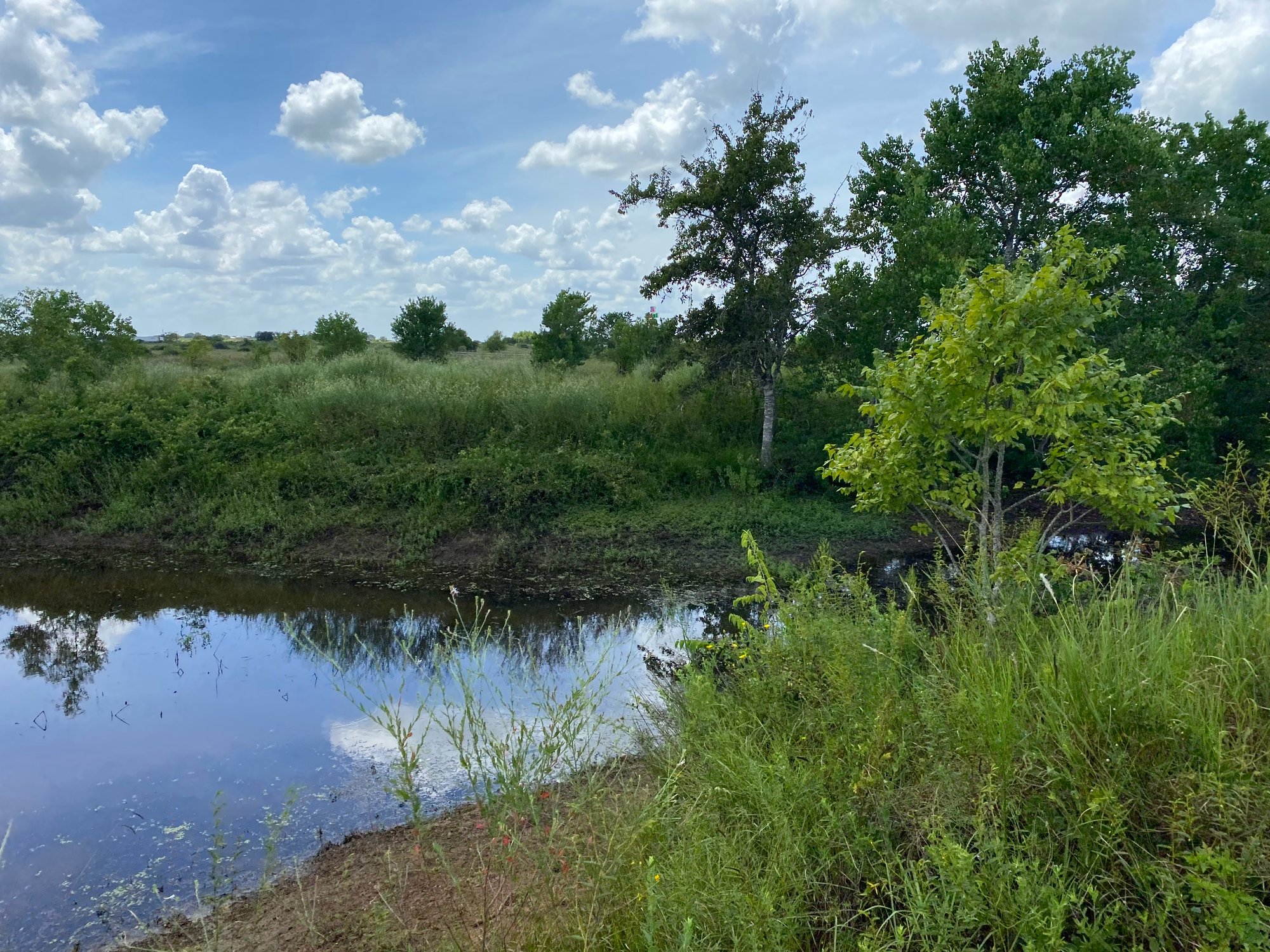 Kveton Acres — property pond