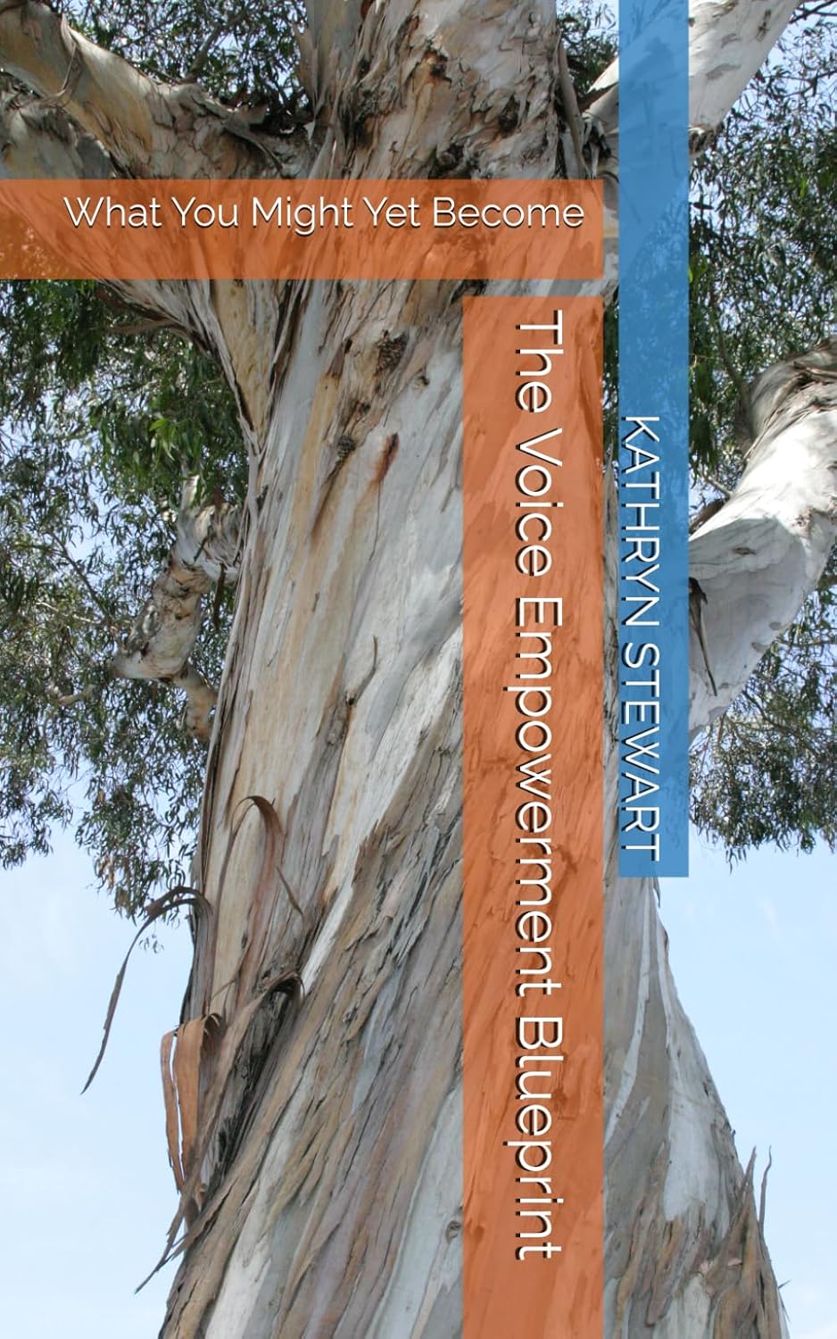 The Voice Empowerment Blueprint book cover