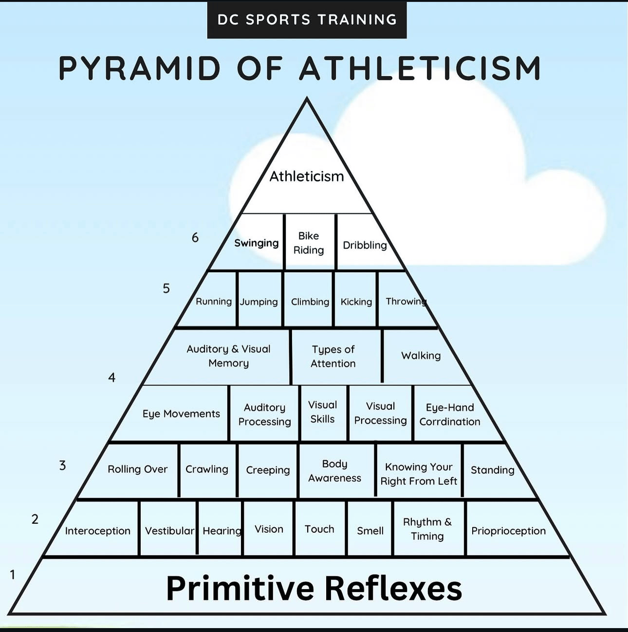 Pyramid of Athleticism diagram showing six levels of development from primitive reflexes at the base through sensory processing, body awareness, visual and auditory skills, fundamental motor skills, and sport-specific skills up to athleticism at the top