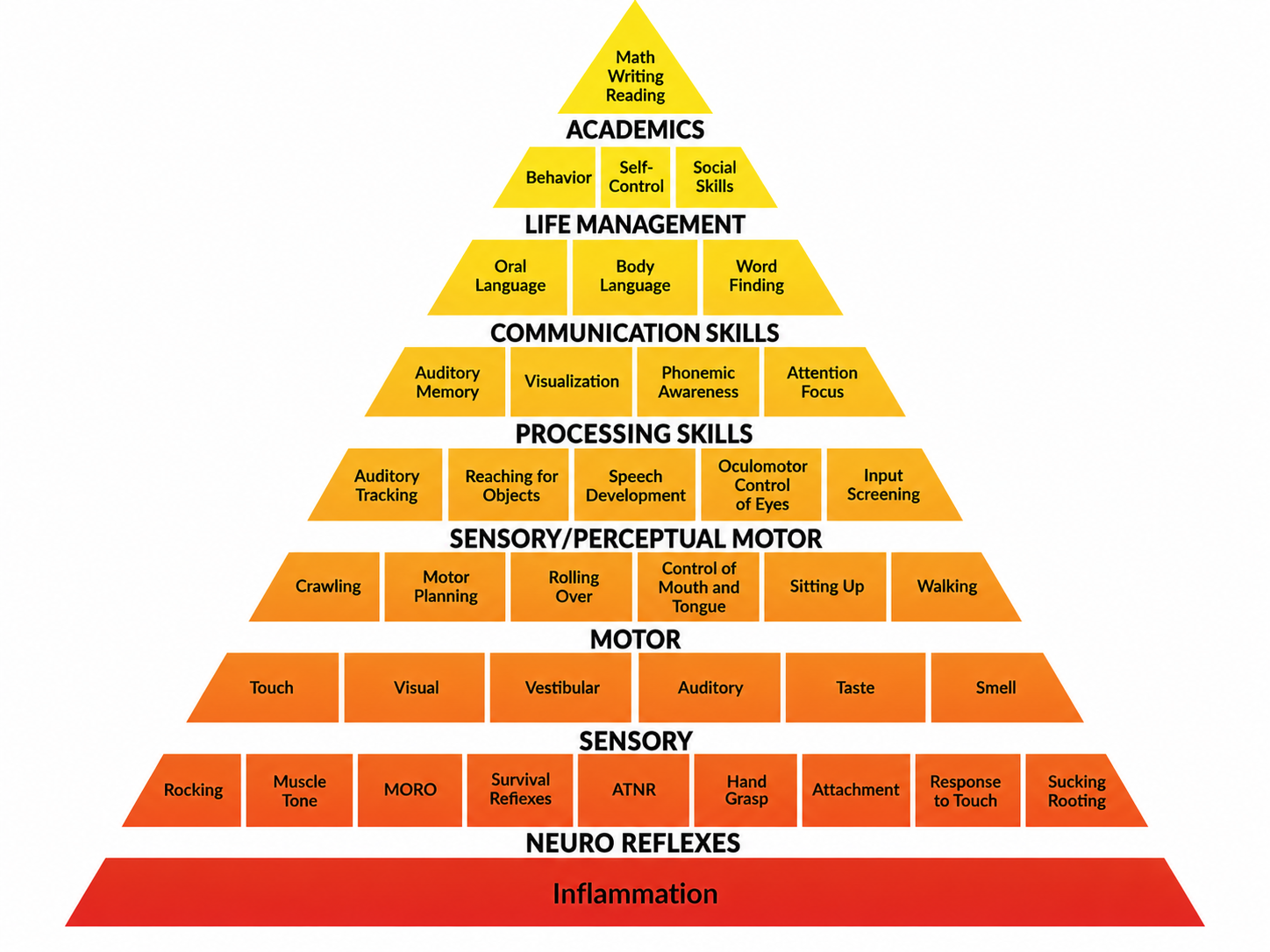 Pyramid of Learning diagram showing how sensory, motor, and neurological foundations support academics, life management, communication, and processing skills