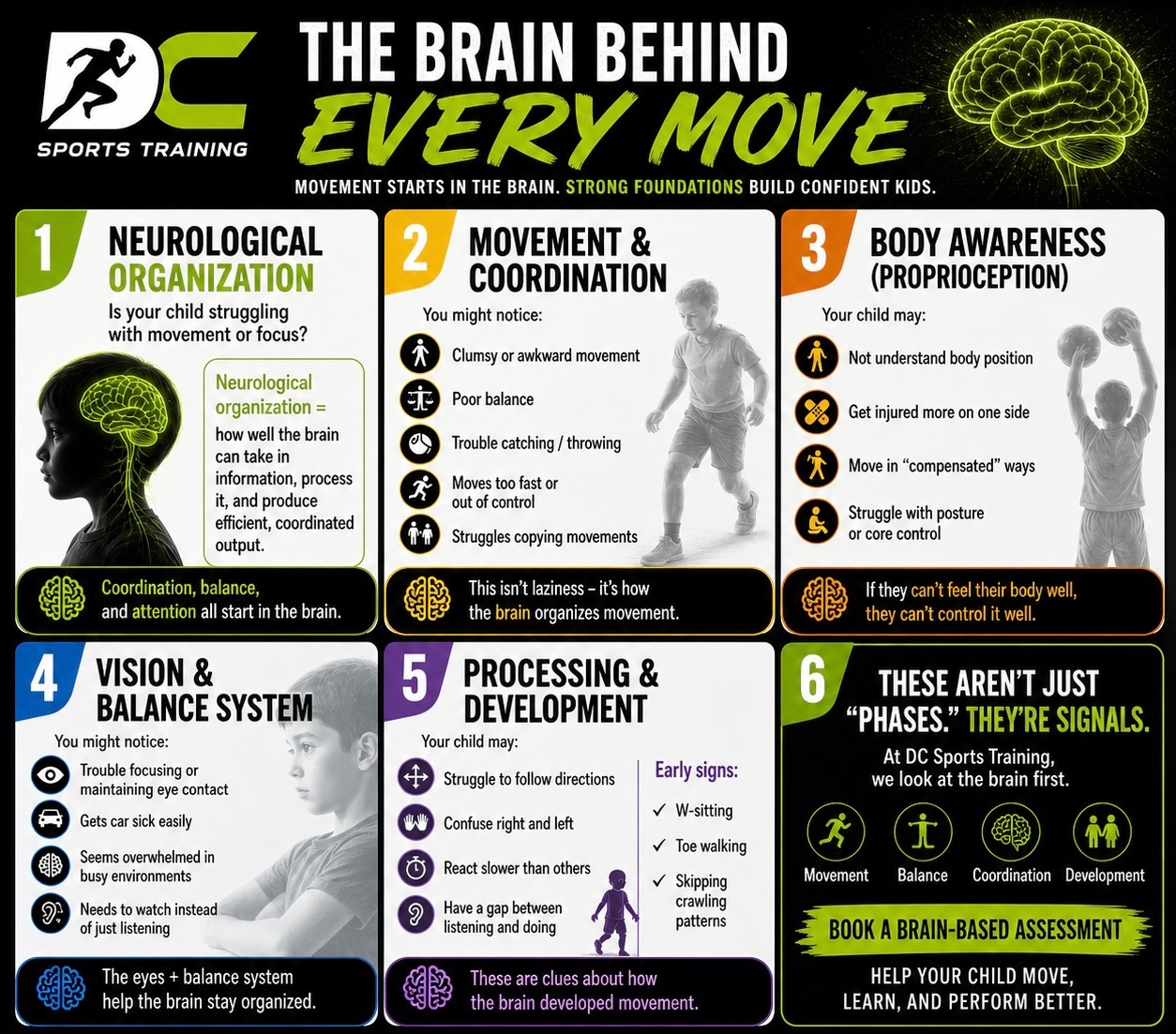 The brain behind every move — neurological organization, movement and coordination, body awareness, vision and balance, and processing and development explained