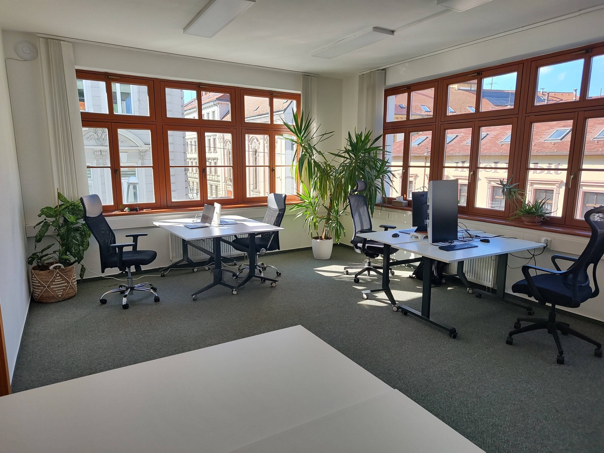 Rohový open space coworking prostor s přirozeným světlem a pohodlným pracovním prostředím