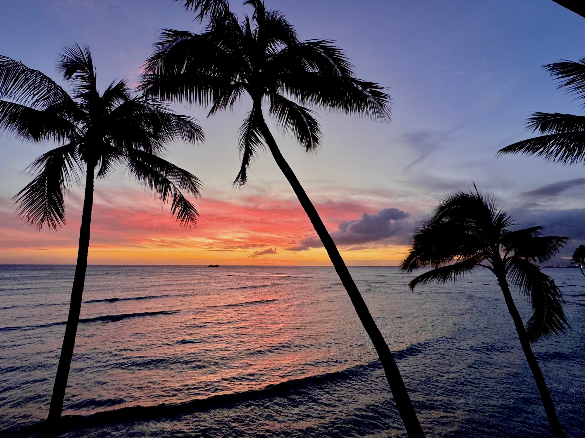 Pacific sunset view with palm silhouettes from 2987 Kalakaua