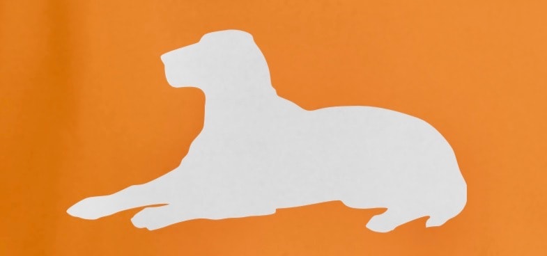 Buster's Box's Moving Logo