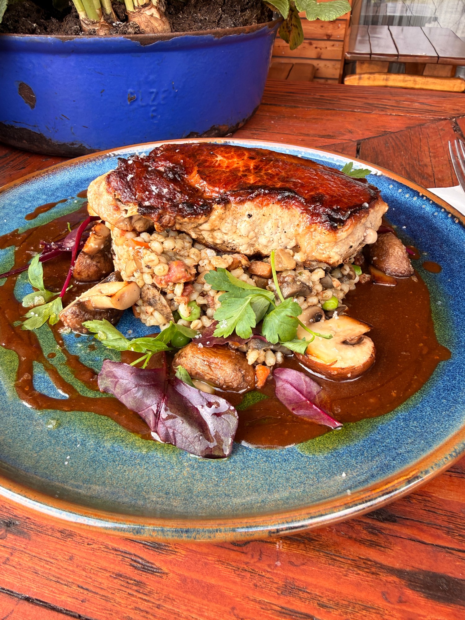 Vepřový bůček s pohankou a houbami – jarní specialita Martina