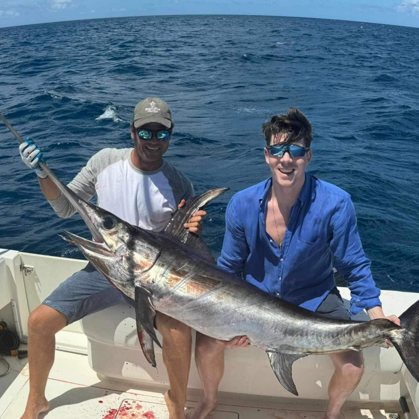 Wahoo, the speedster of the deep