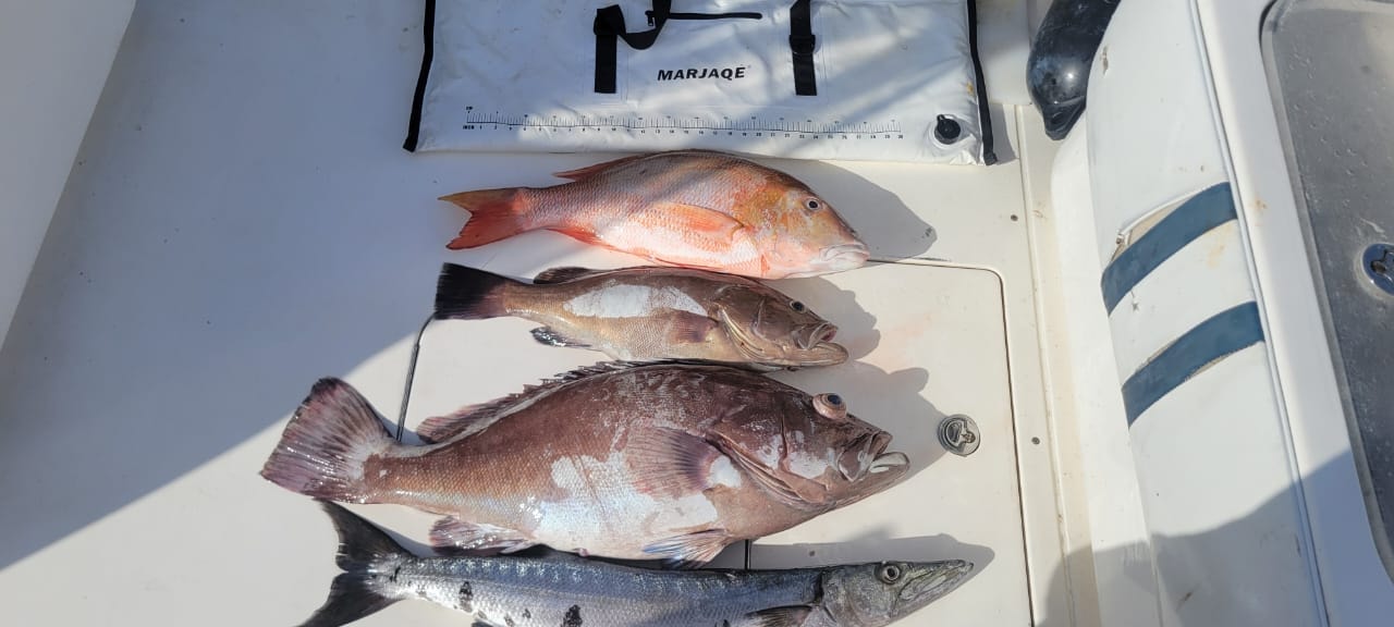 Grenadines fishing charter photo - uploaded catch 08