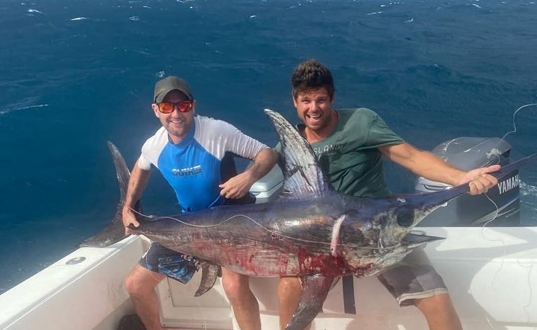 Swordfish from daytime deep drop