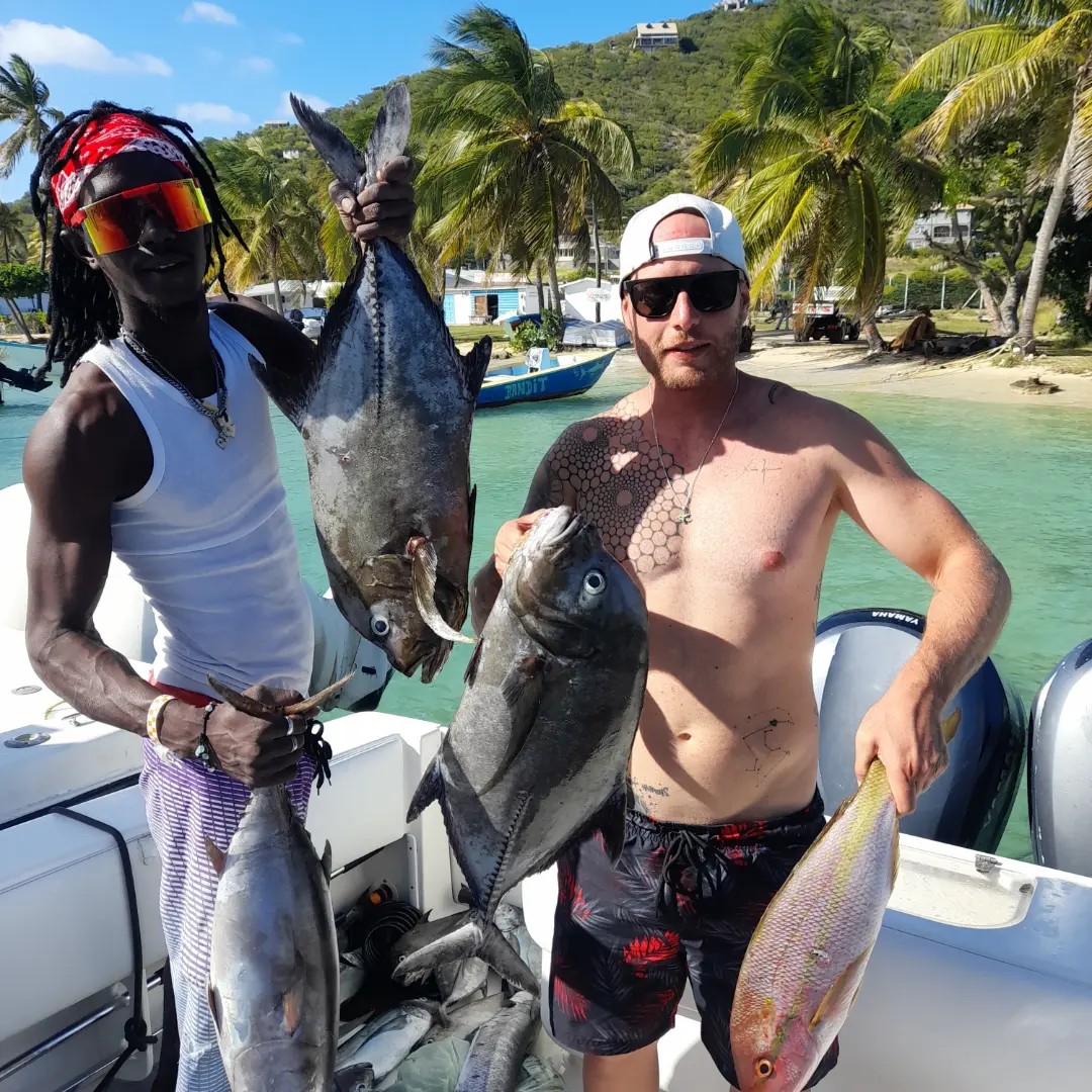 Jacks and yellowtail snapper in the bay