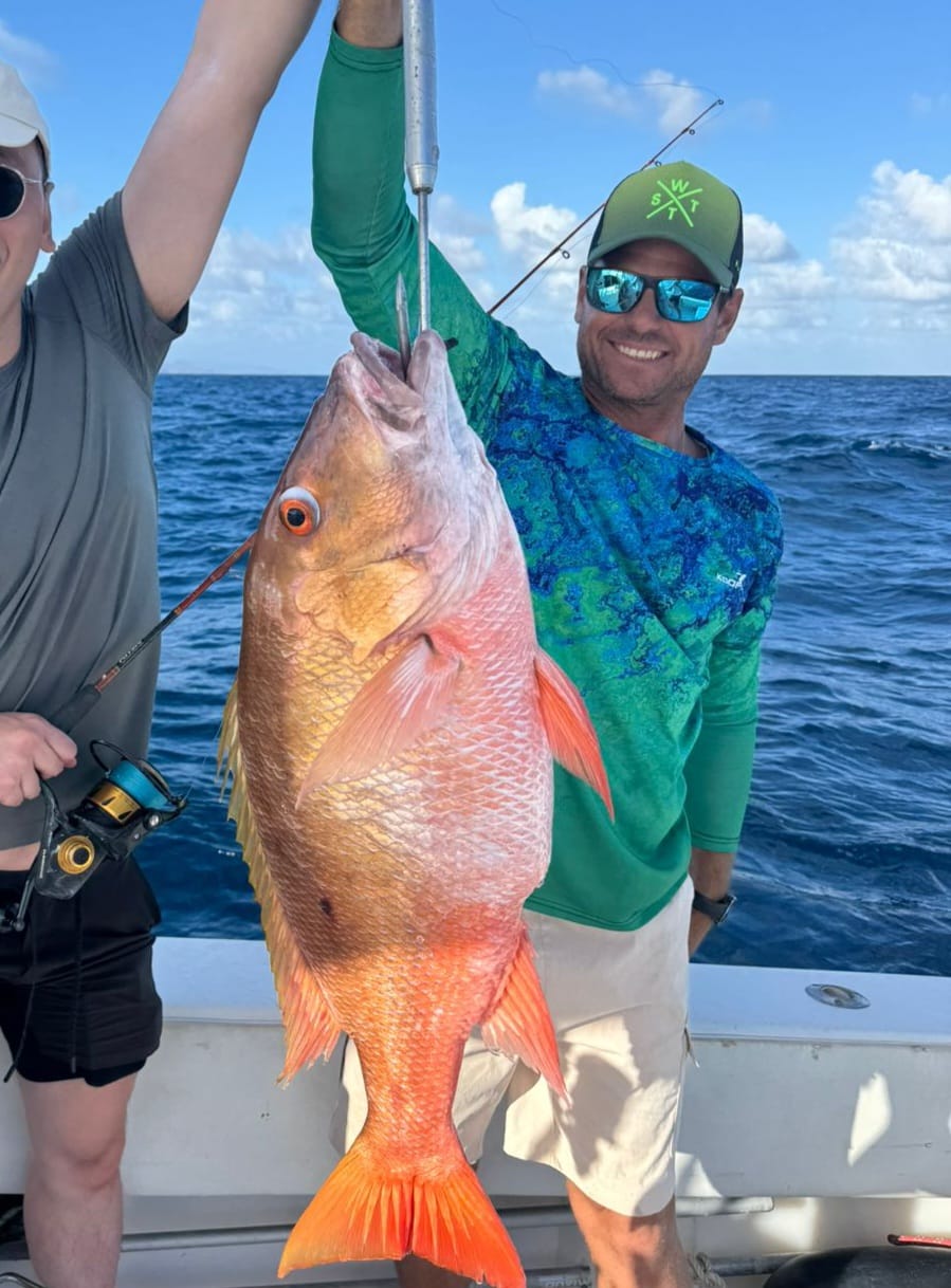 Vivid snapper from the deep