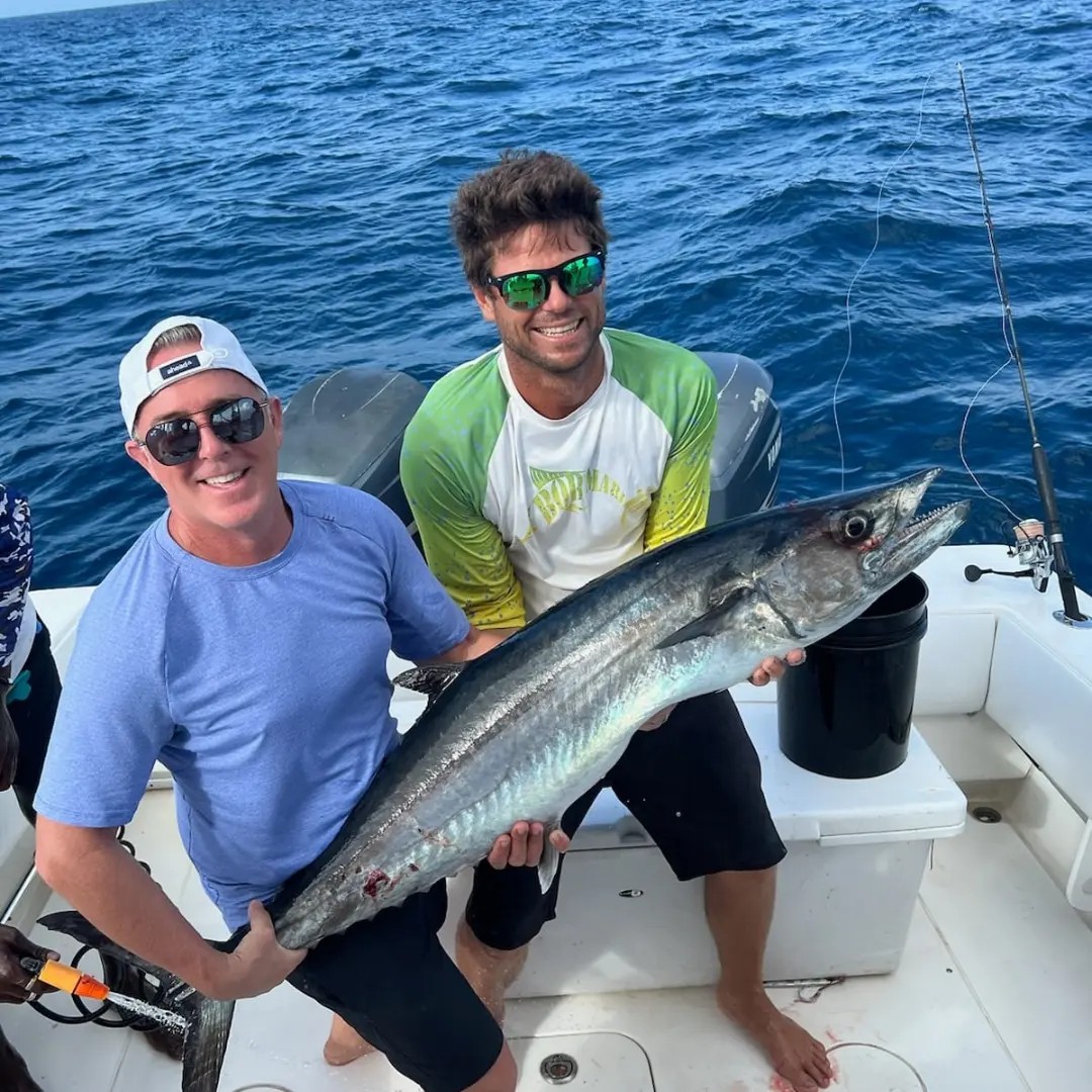 Blue marlin brought to the boat
