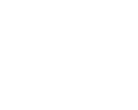 Stepa Logo