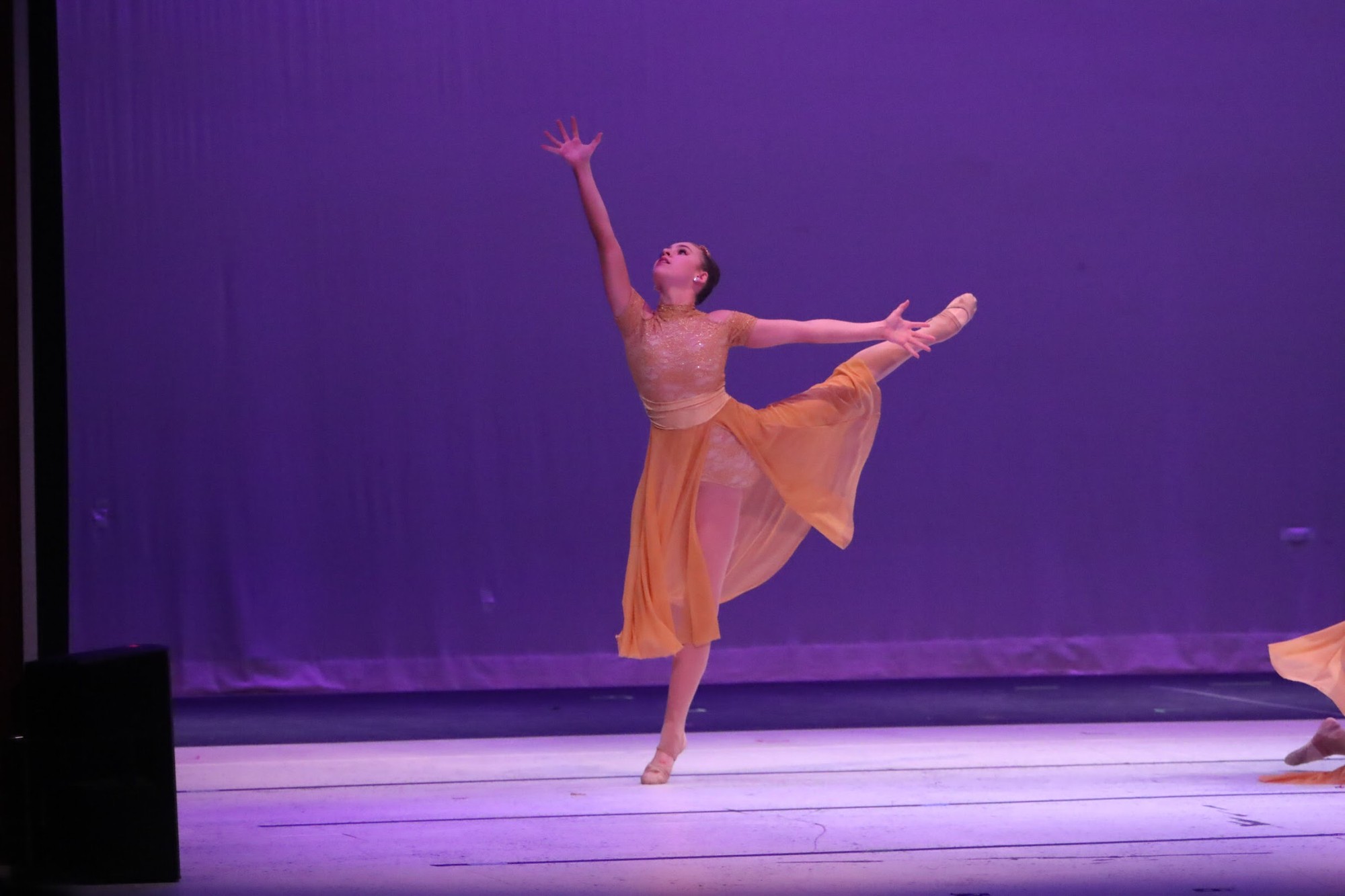 JSDA dancer