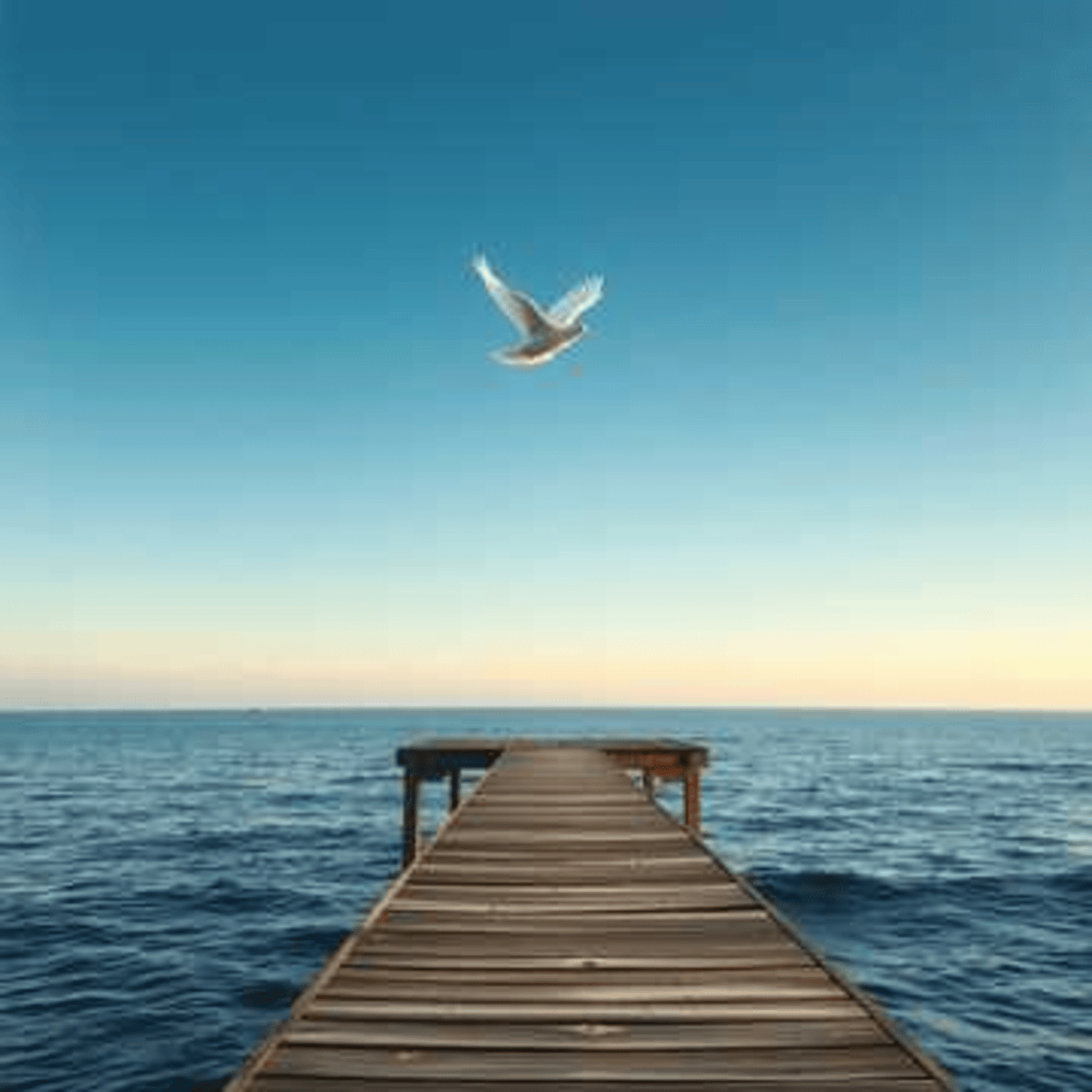 Dove Over the Ocean