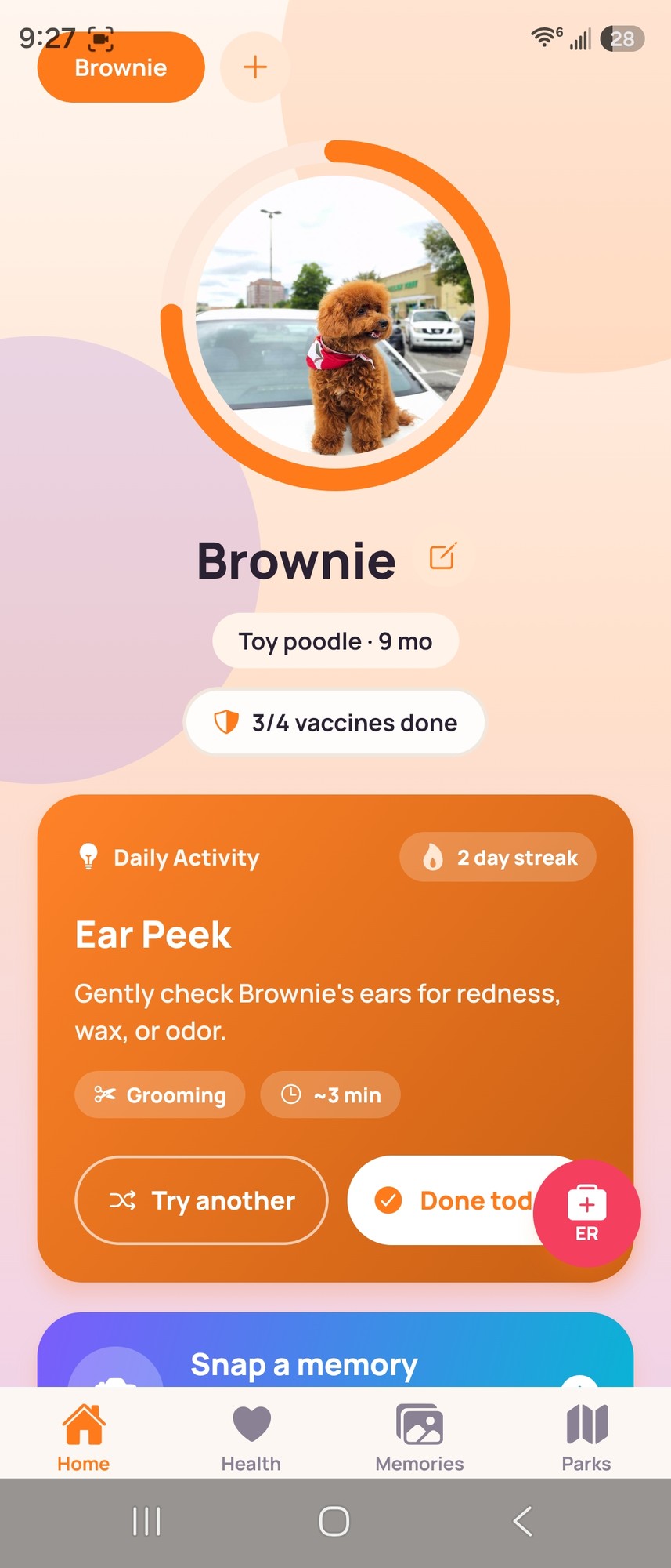 Brownsy daily care showing Brownie's ear peeking and Daily Activity prompts