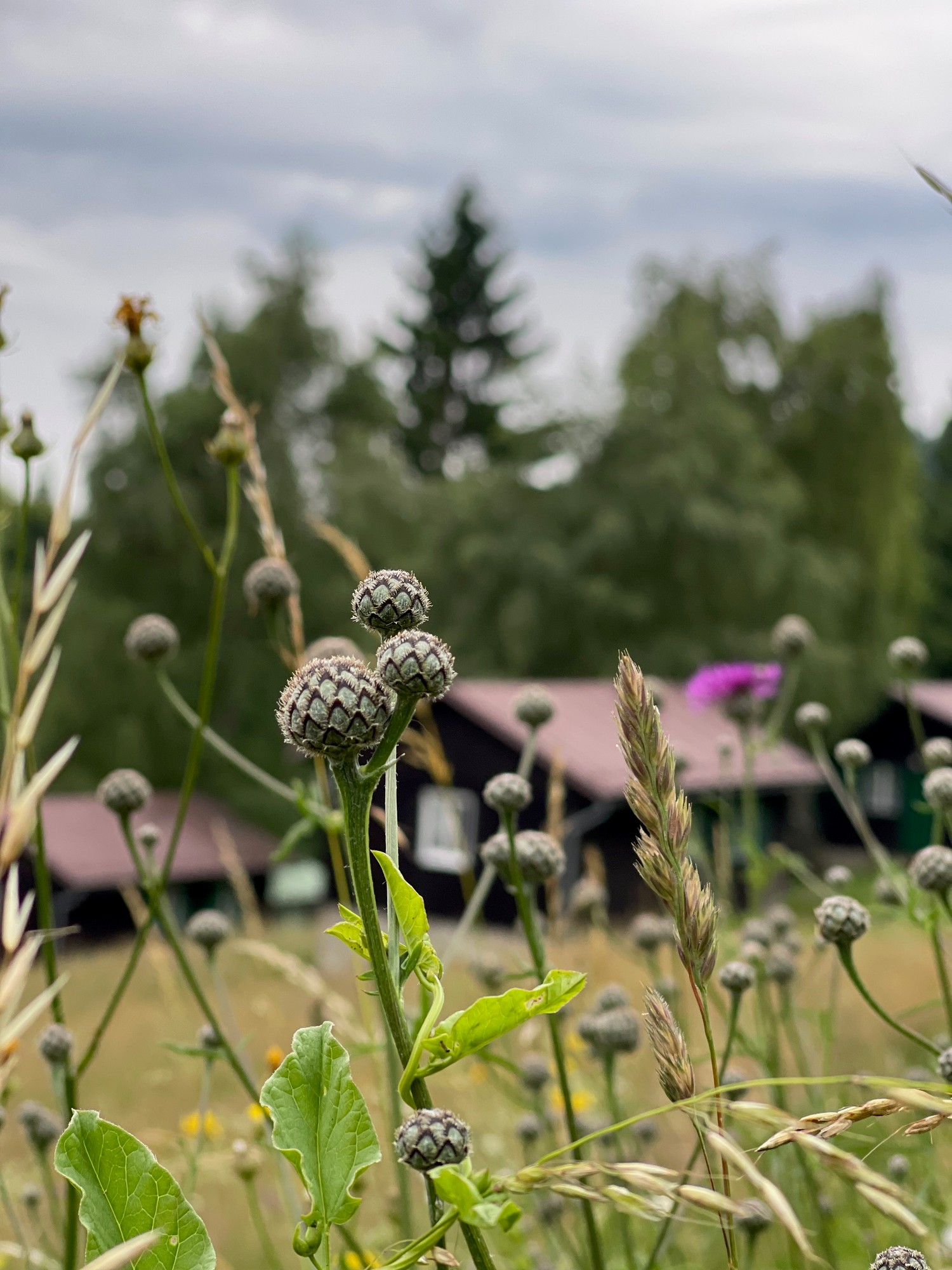 Původní areál MORA, fotografie 13
