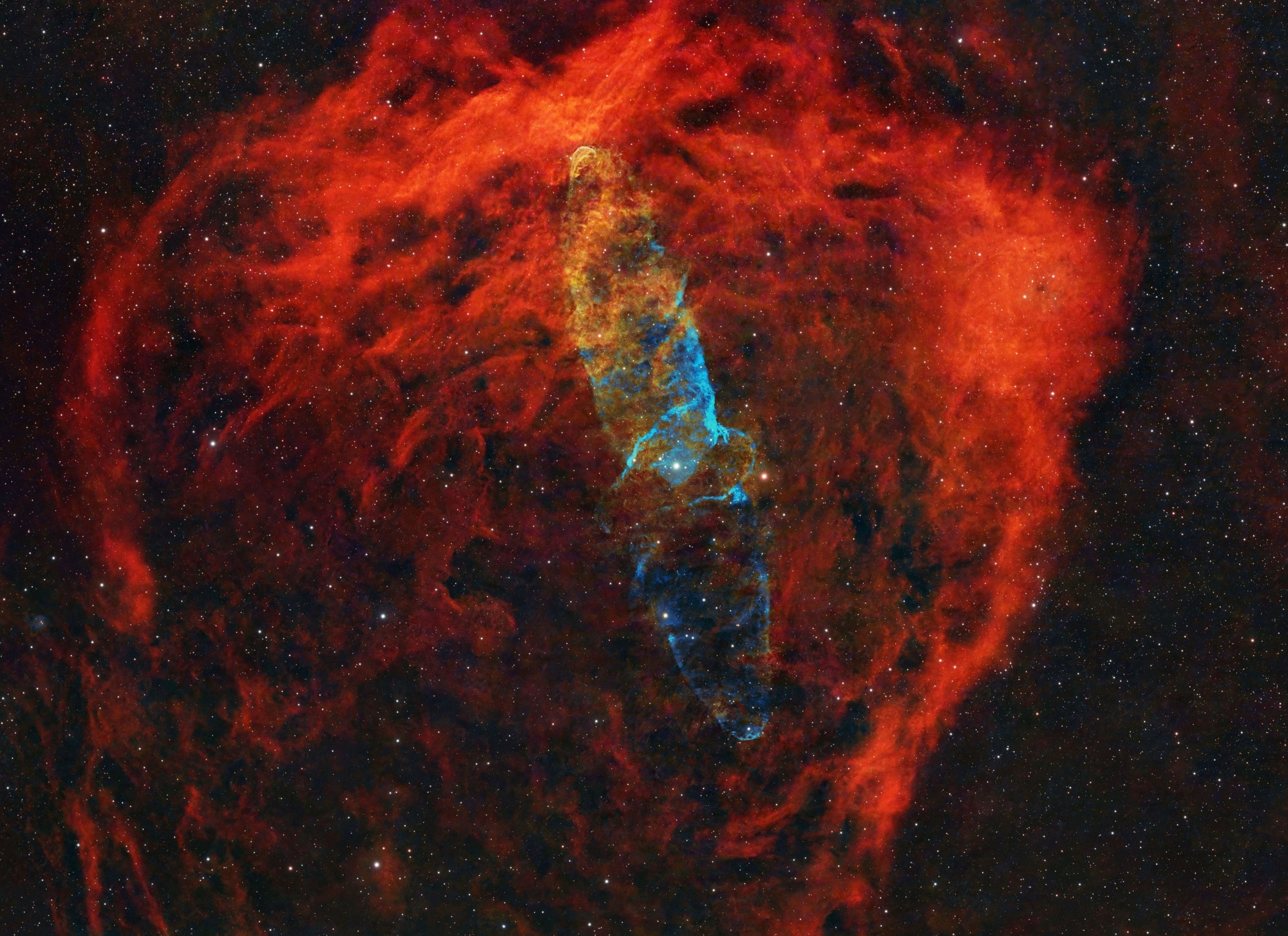 Squid Nebula (Ou4 / SH2-129) — astrophotography