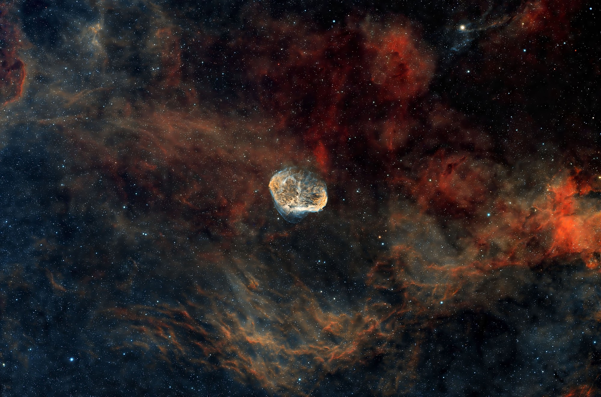 Crescent Nebula Region (NGC 6888) — astrophotography