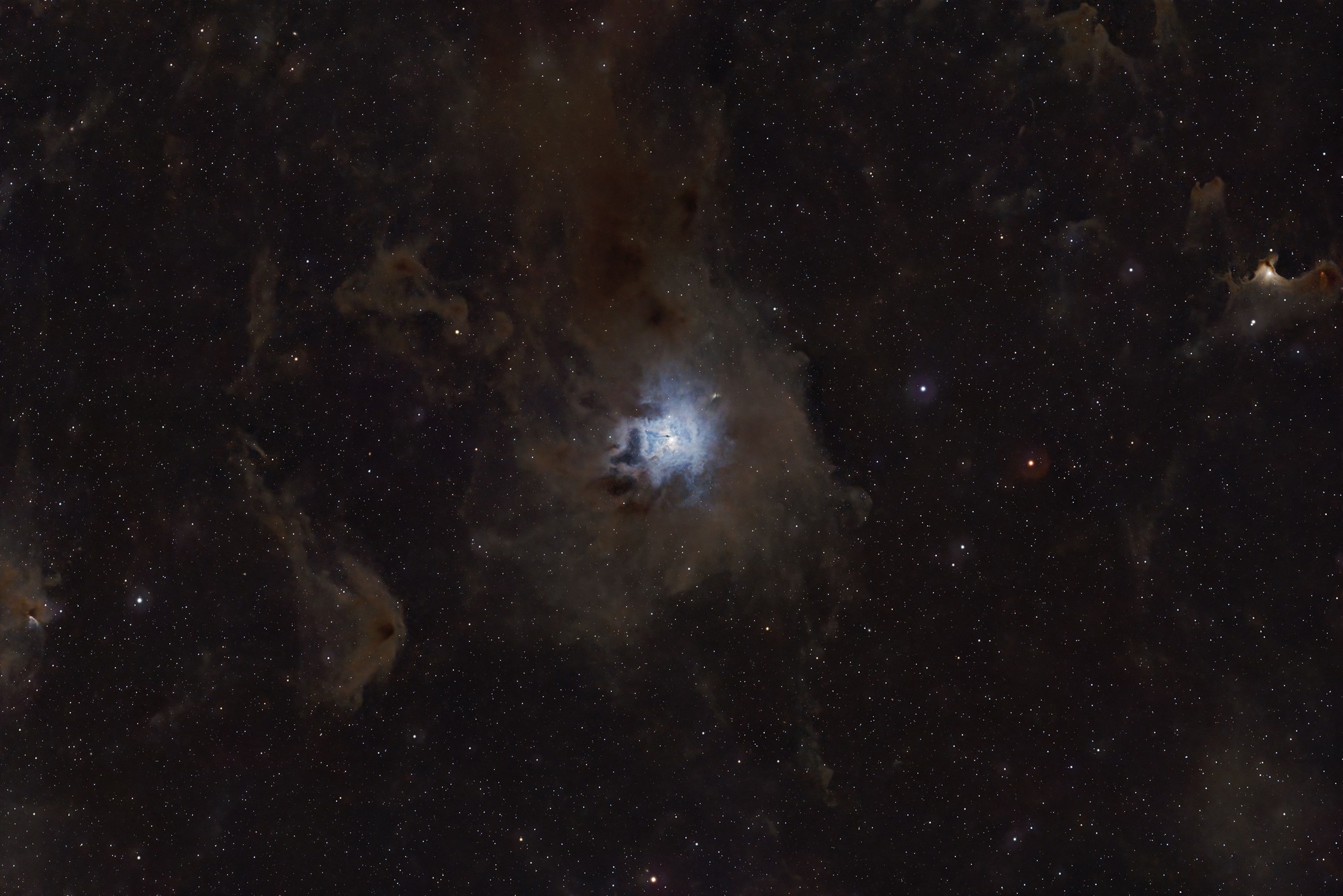 Iris Nebula (NGC 7023) — astrophotography