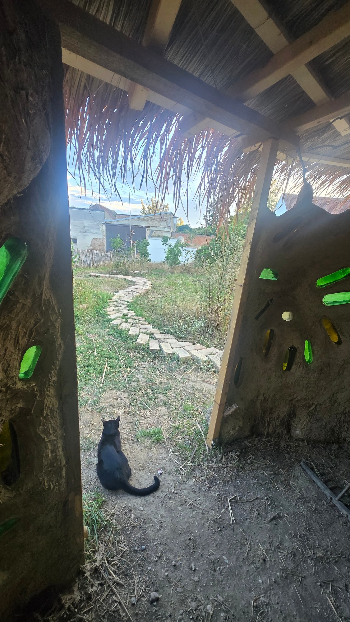 Blick aus der Lehmhütte durch die offene Tür in den Garten, eine Katze sitzt im Eingang