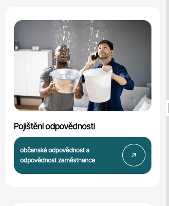 Nehoda v domácnosti